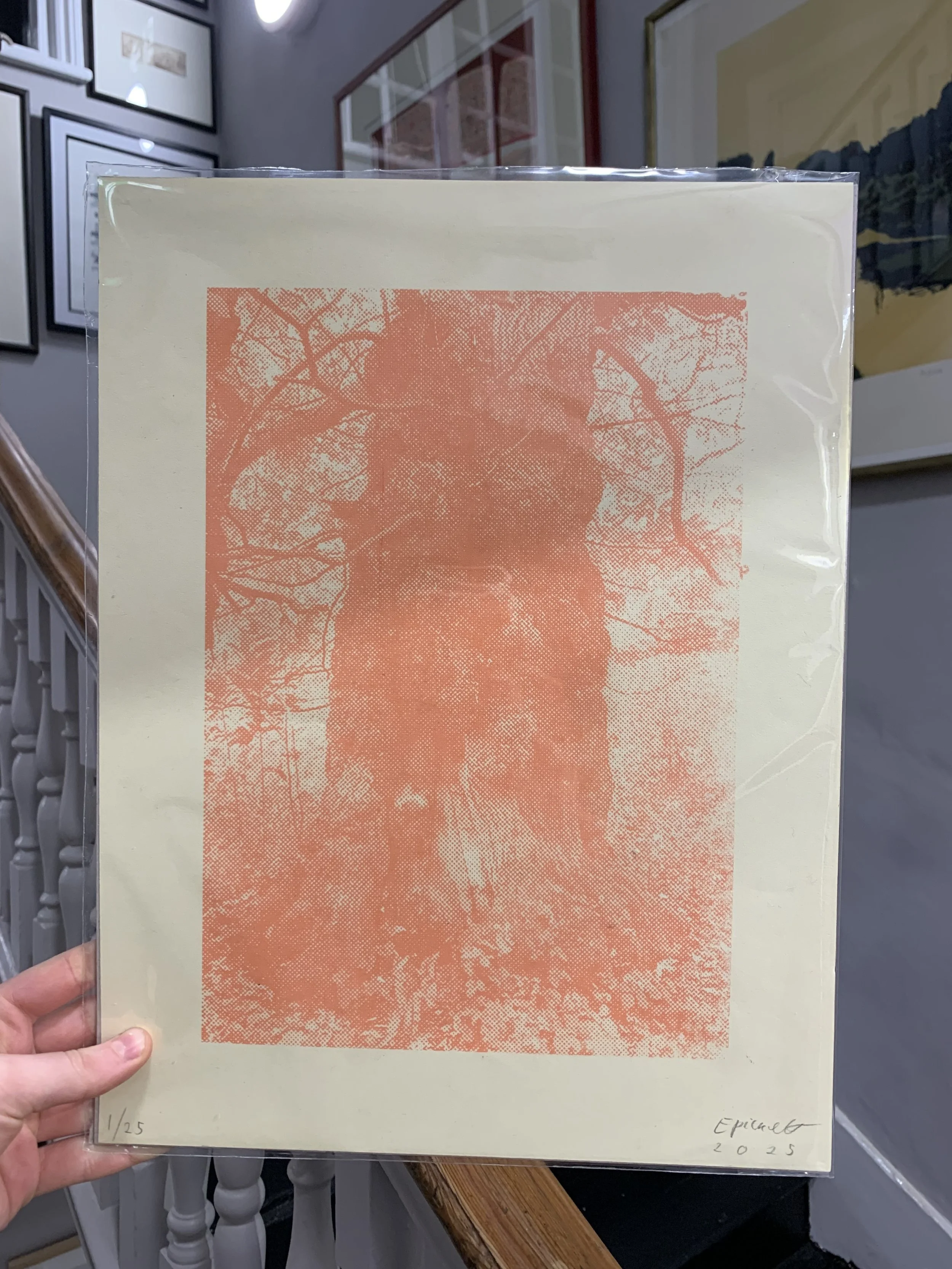 Savernake 1 Screen print .jpg