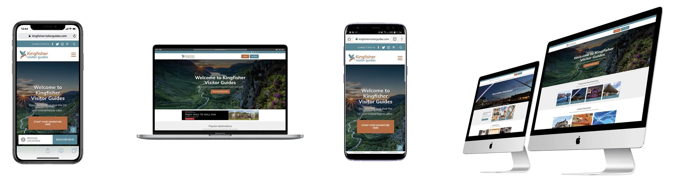 kingfisher-website.jpg