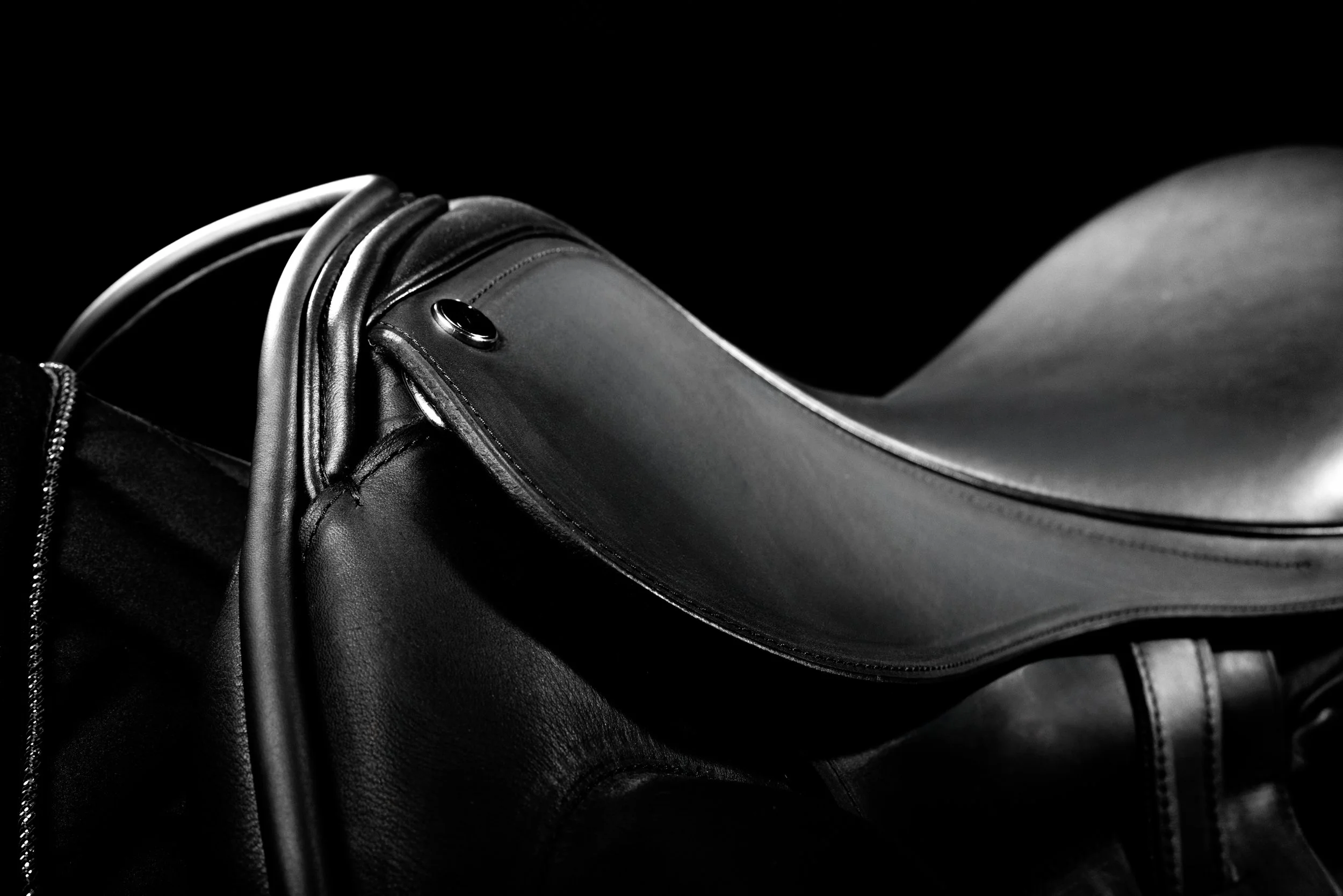 SADDLE 5-2.jpg