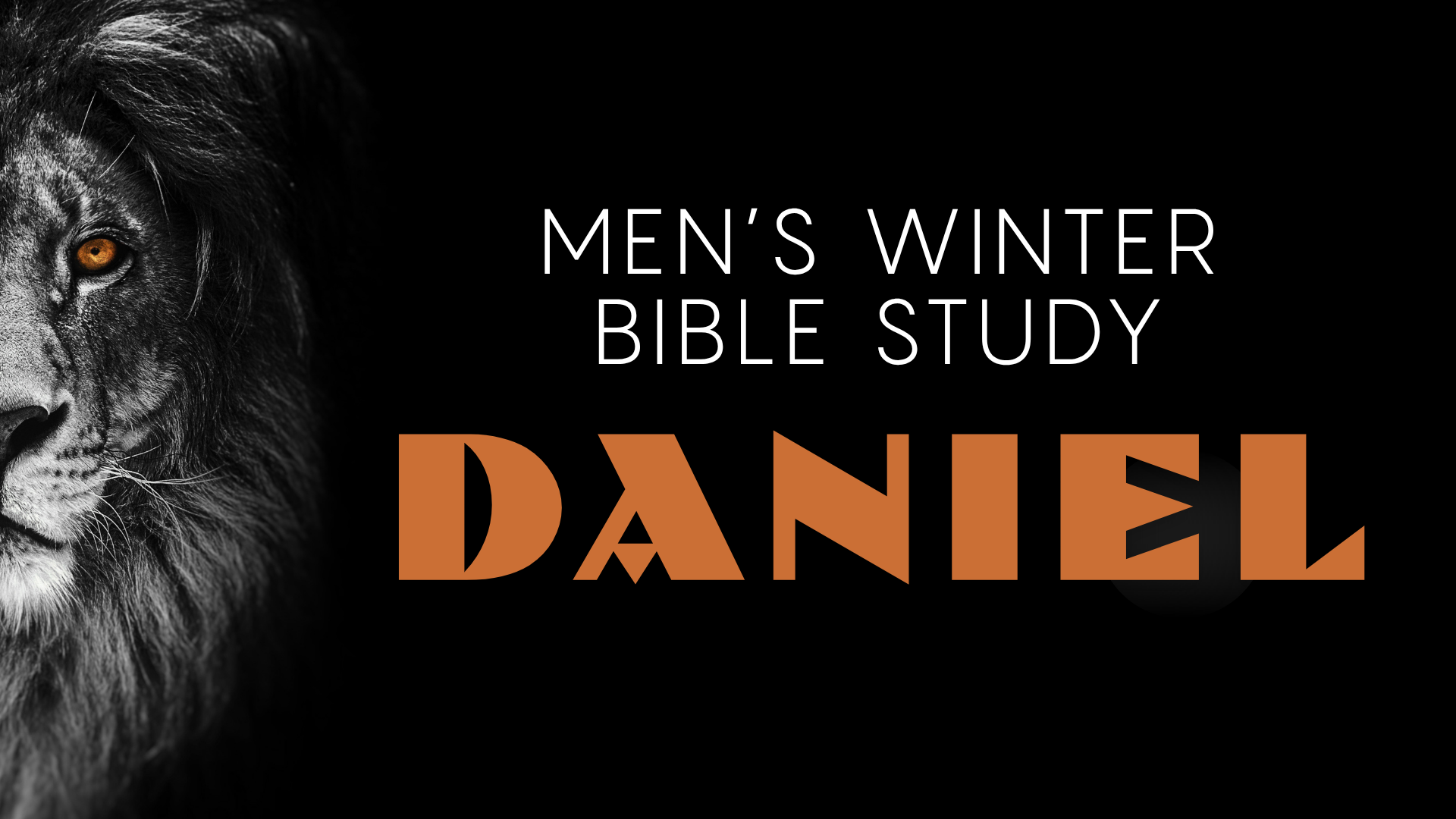 Men's Winter Study Graphic.png