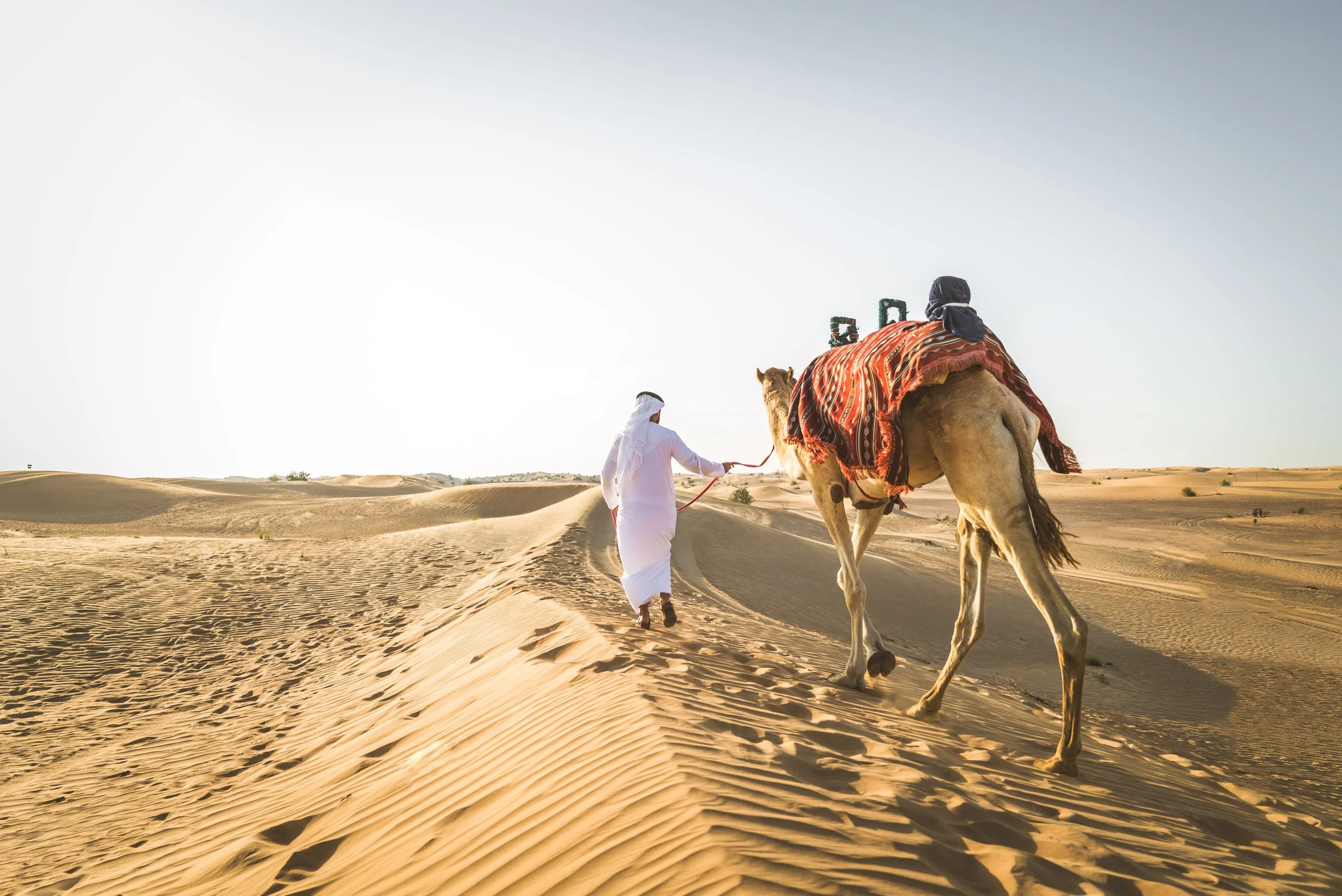arabian-man-with-camel-in-the-desert-2025-03-14-15-09-14-utc.jpg