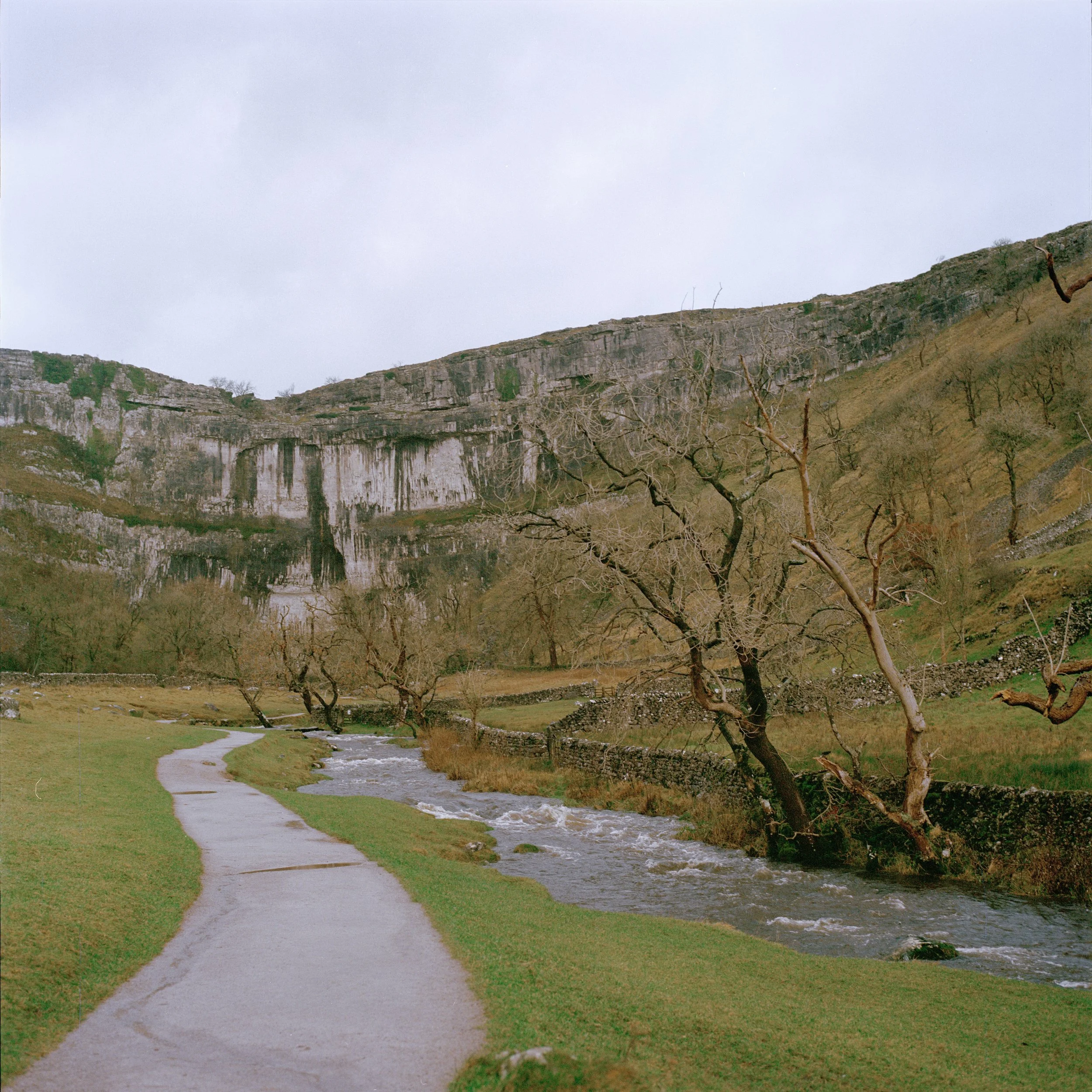 scottland again-2.jpeg