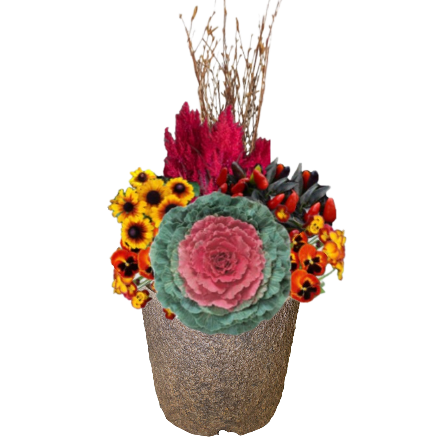 Autumn Blaze_Pulp Pot (2).png