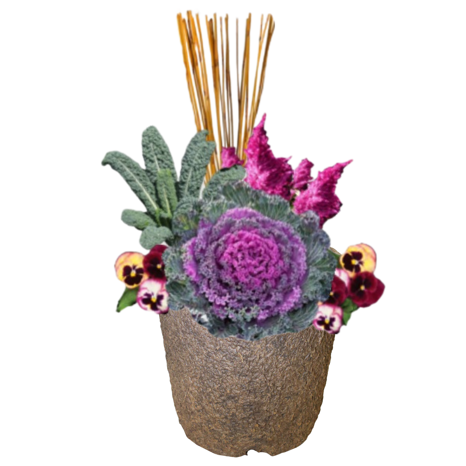 Autumn Circus_Pulp Pot (2).png
