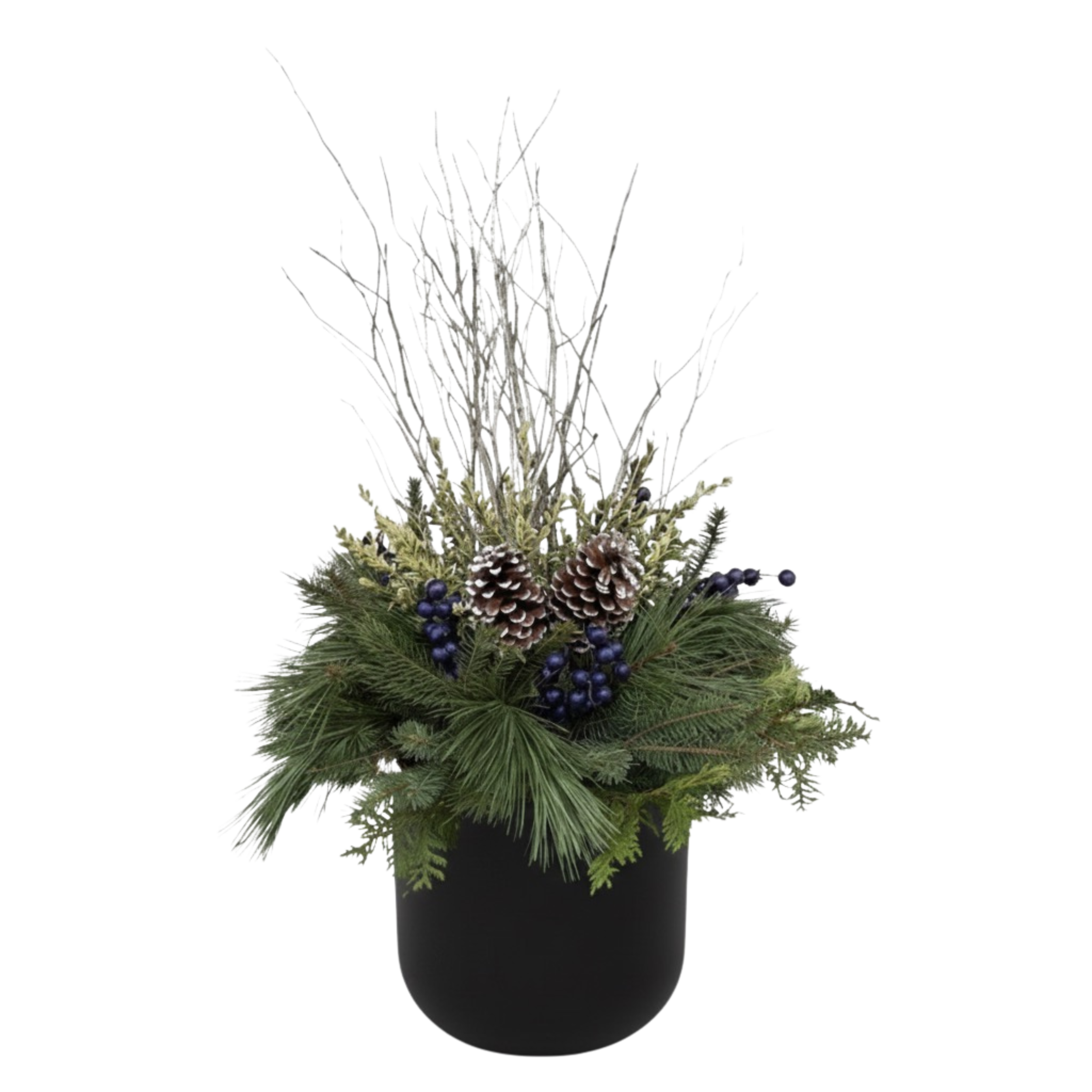 Untitled design 8.png