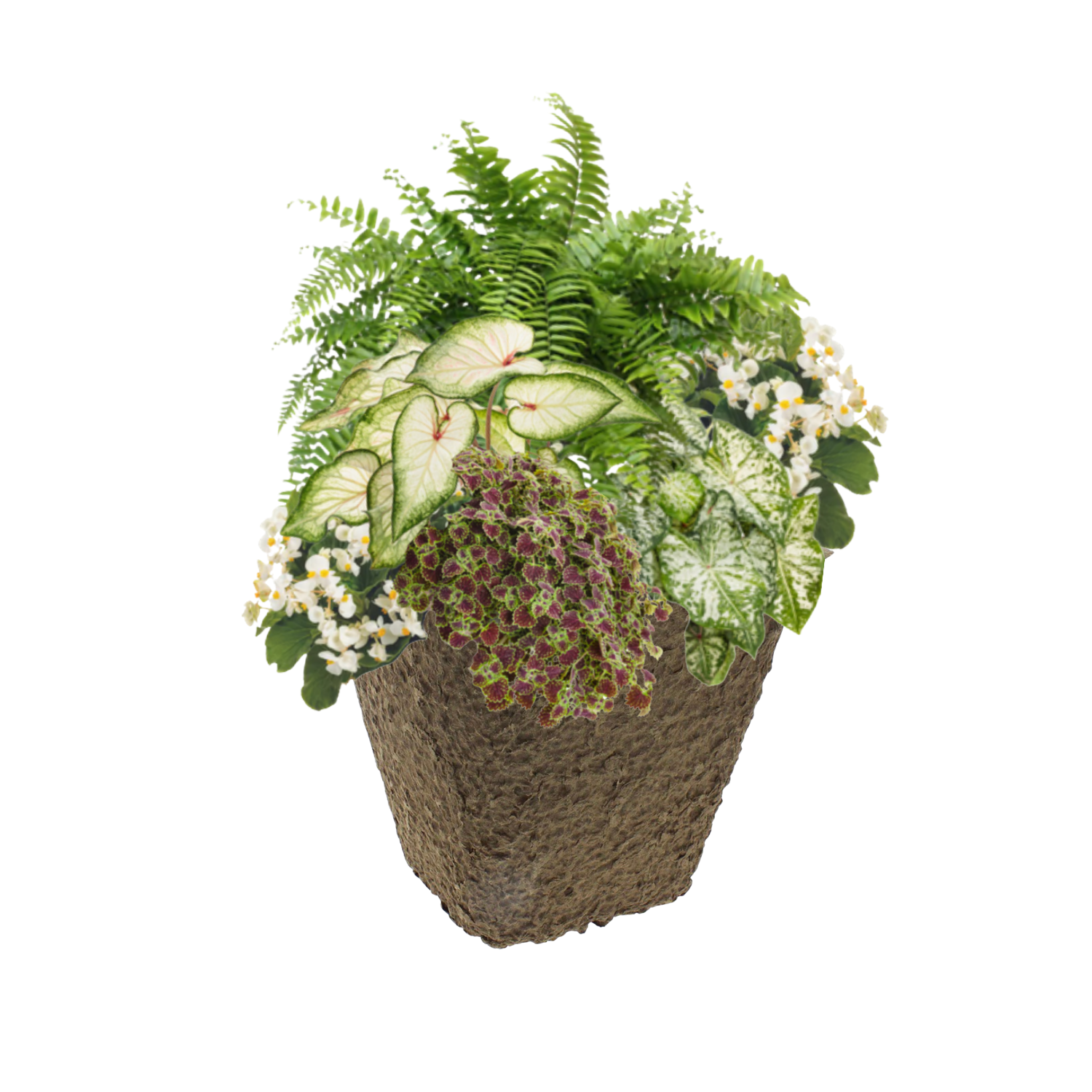 Garden Veranda_Square.png