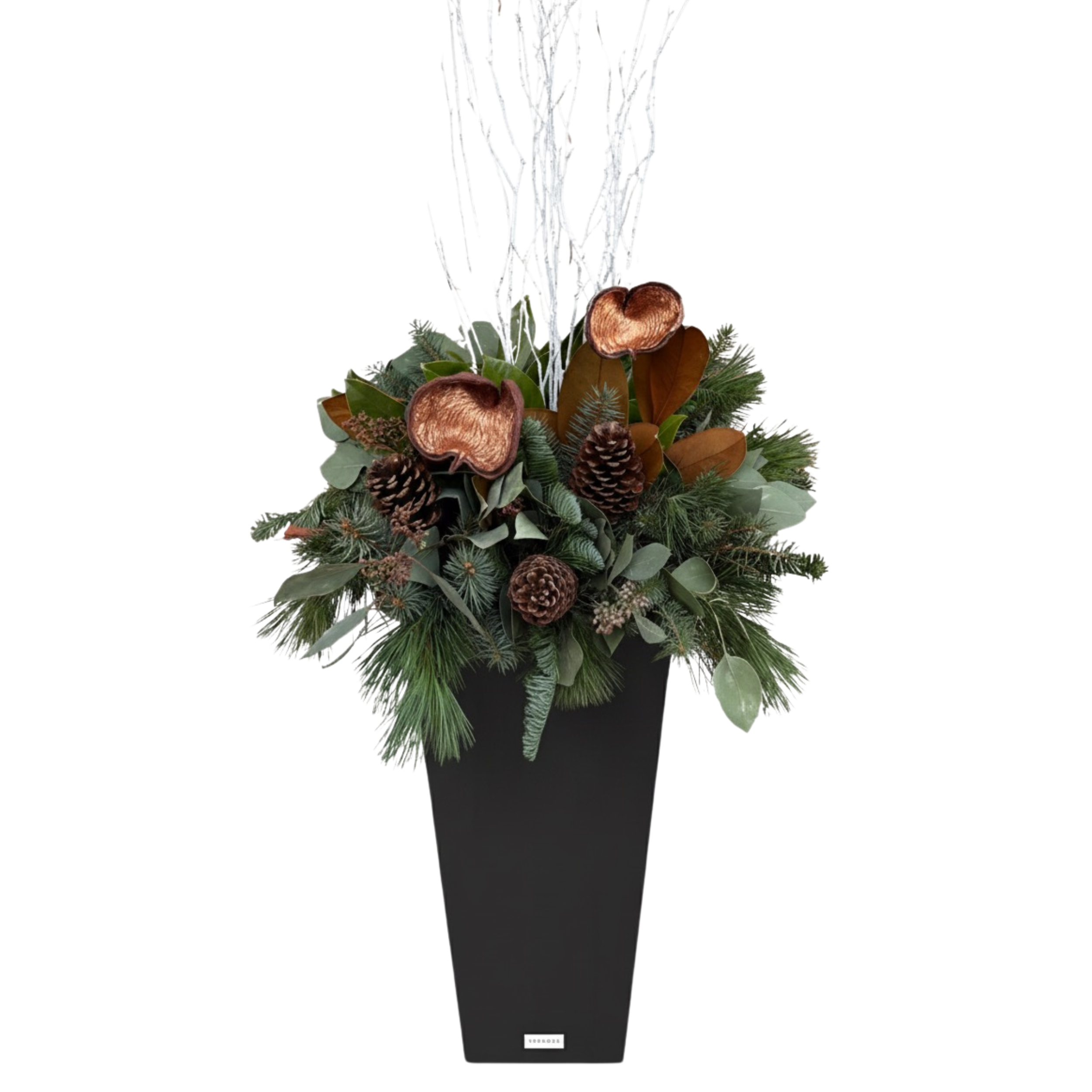 Untitled design 7.png