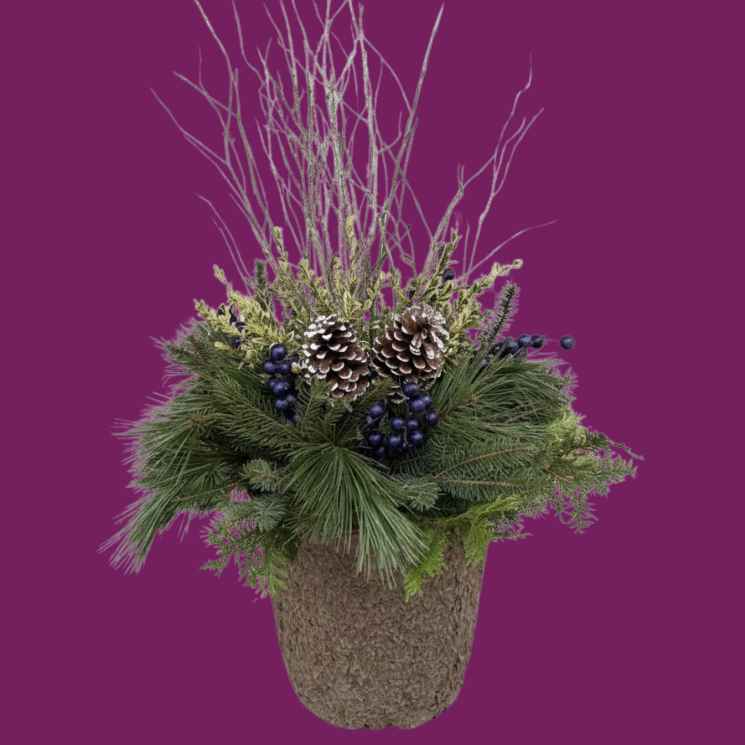 Blue Juniper - ROUND Pulp Pot