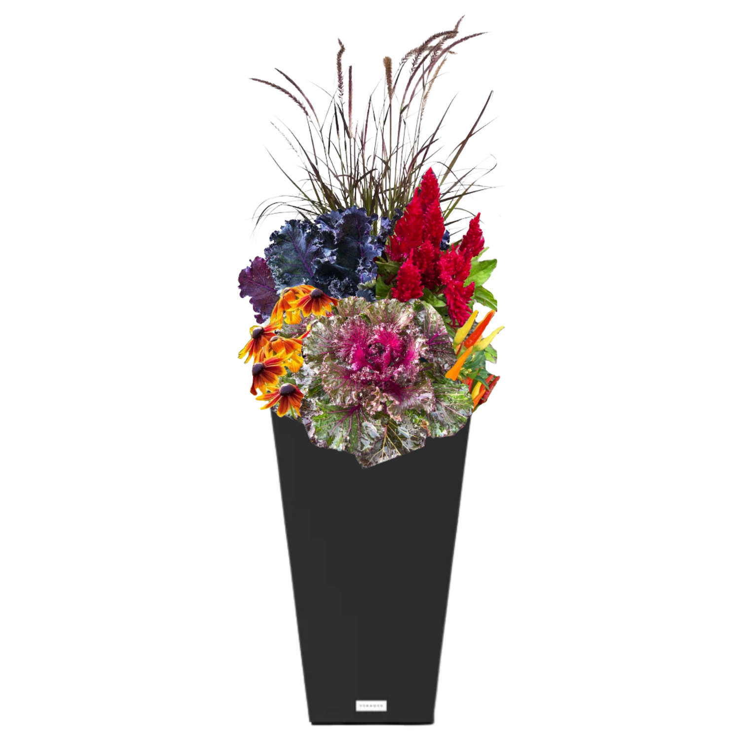 Autumn Bonfire - BLACK POT (TALL SQUARE)
