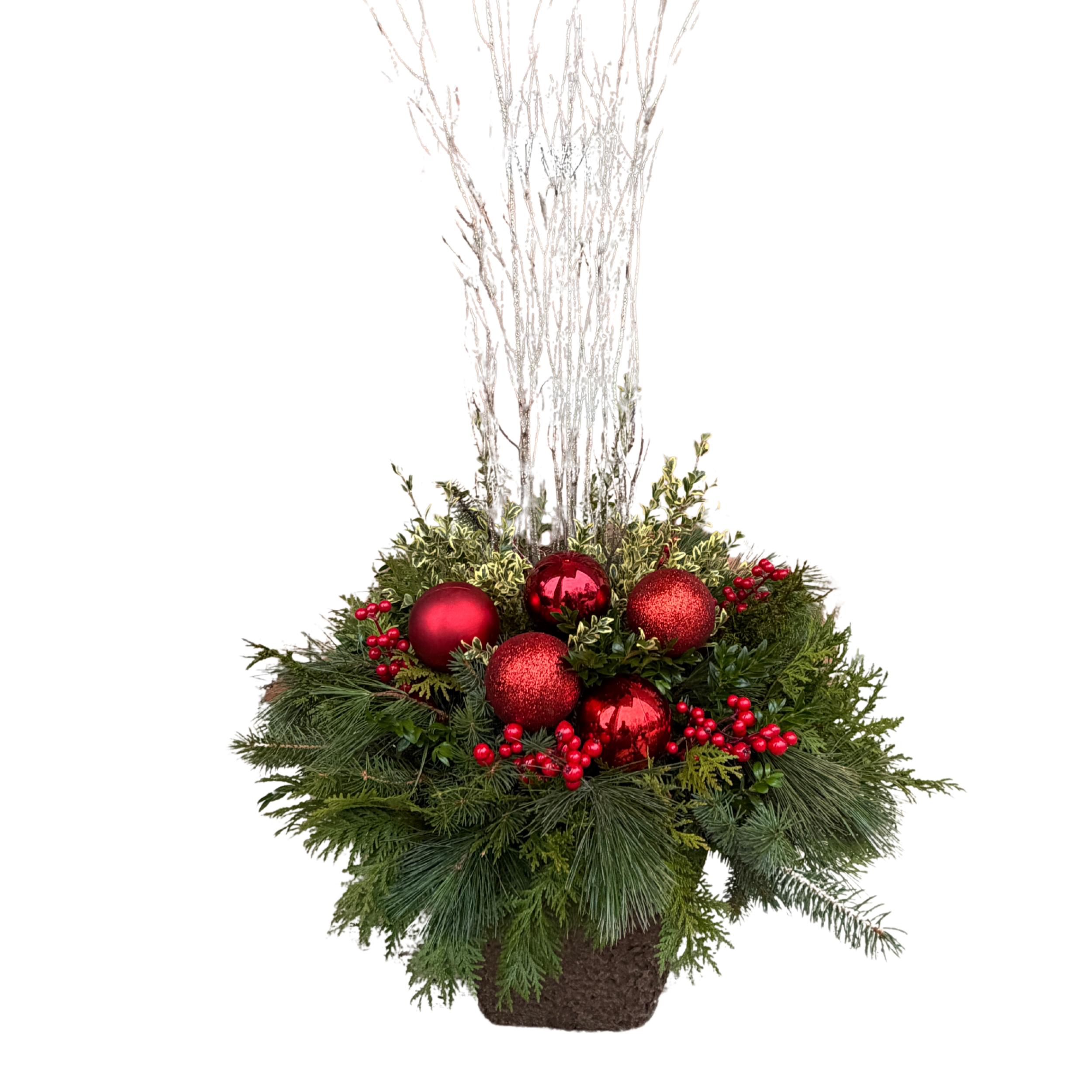 Untitled design 5.PNG