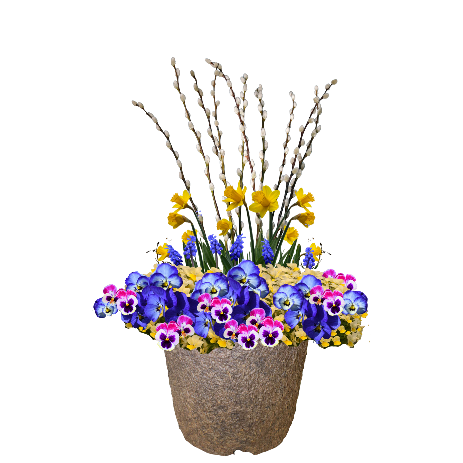 Daffodil Darling - ROUND Pulp Pot