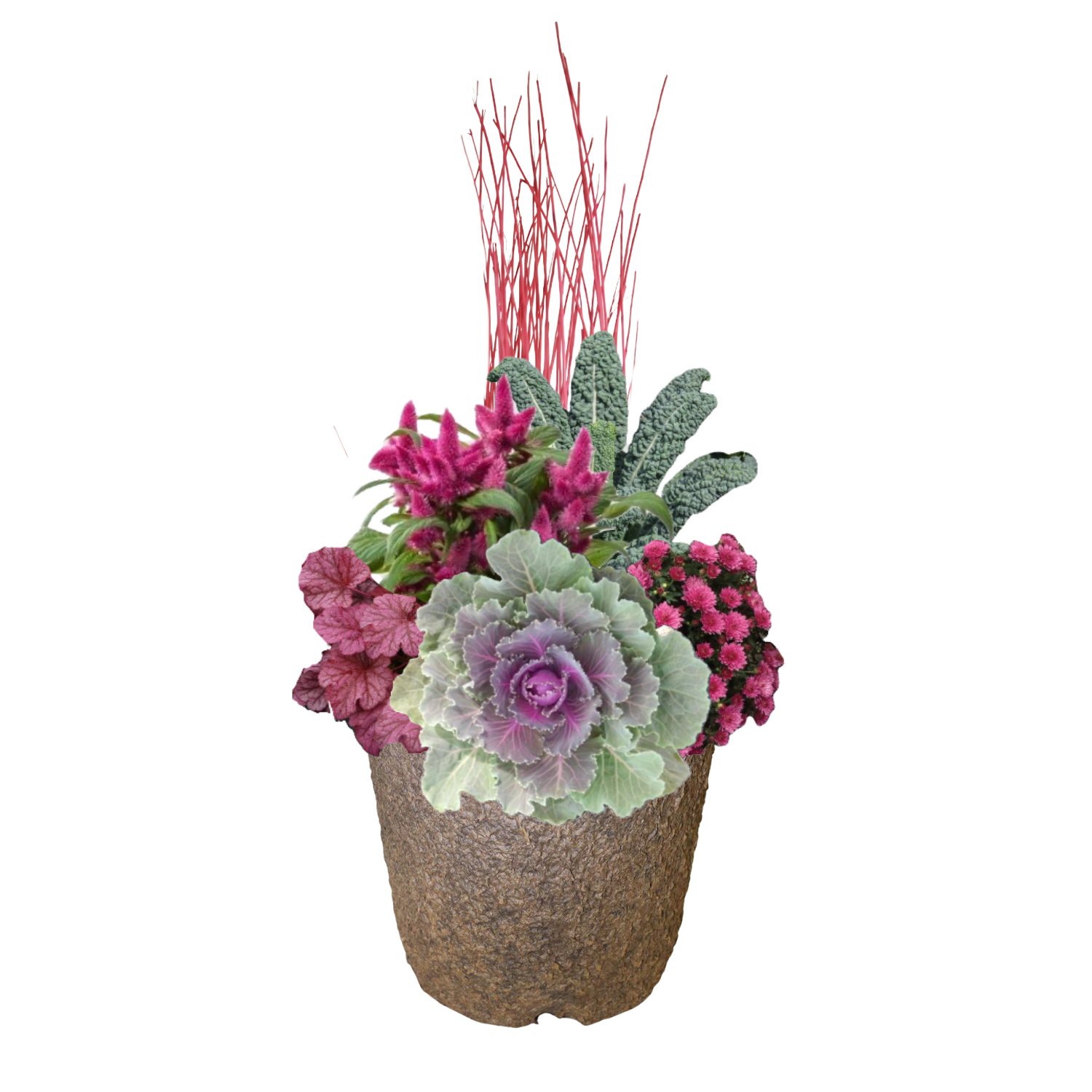Rosehip Harvest - ROUND Pulp Pot