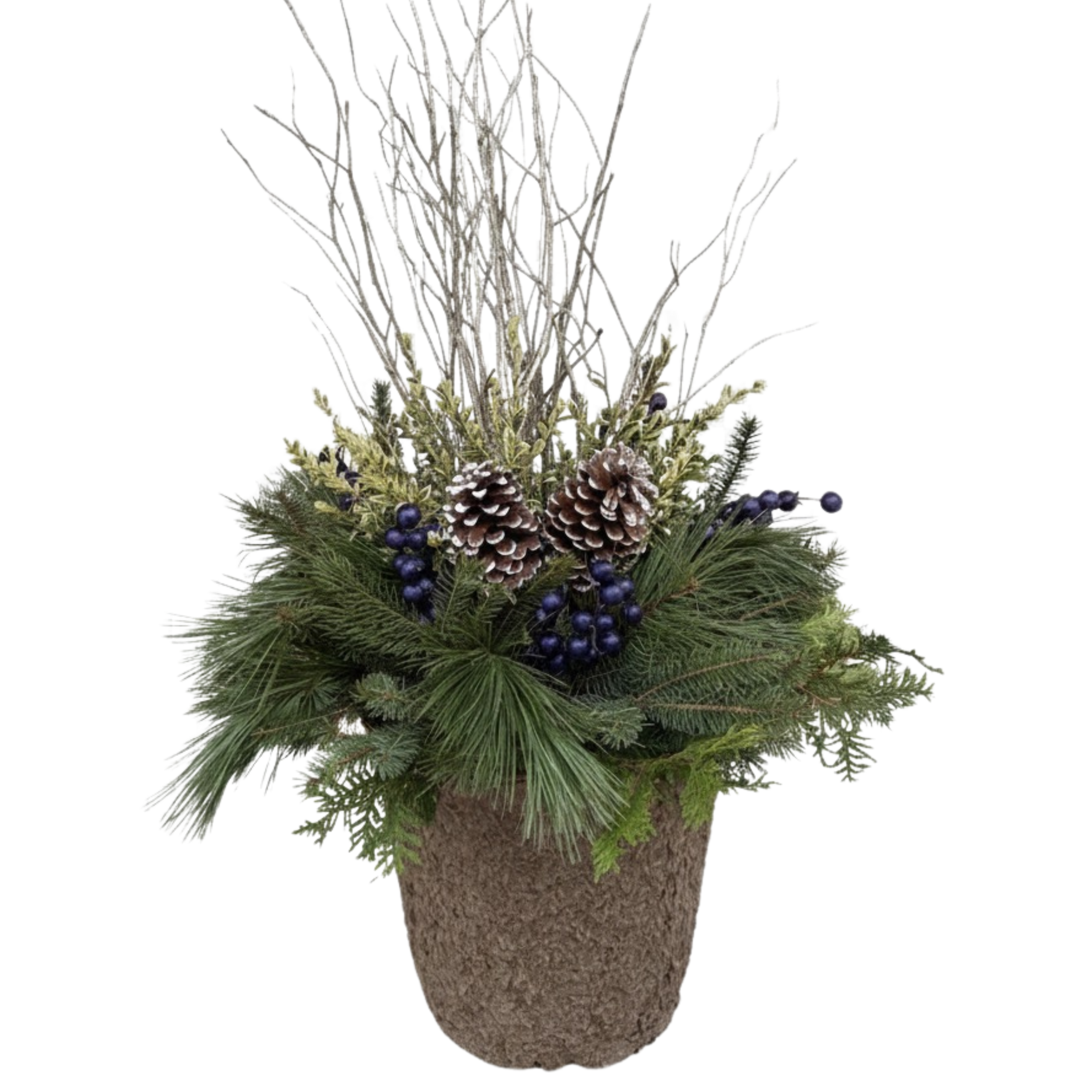 Untitled design 11.png