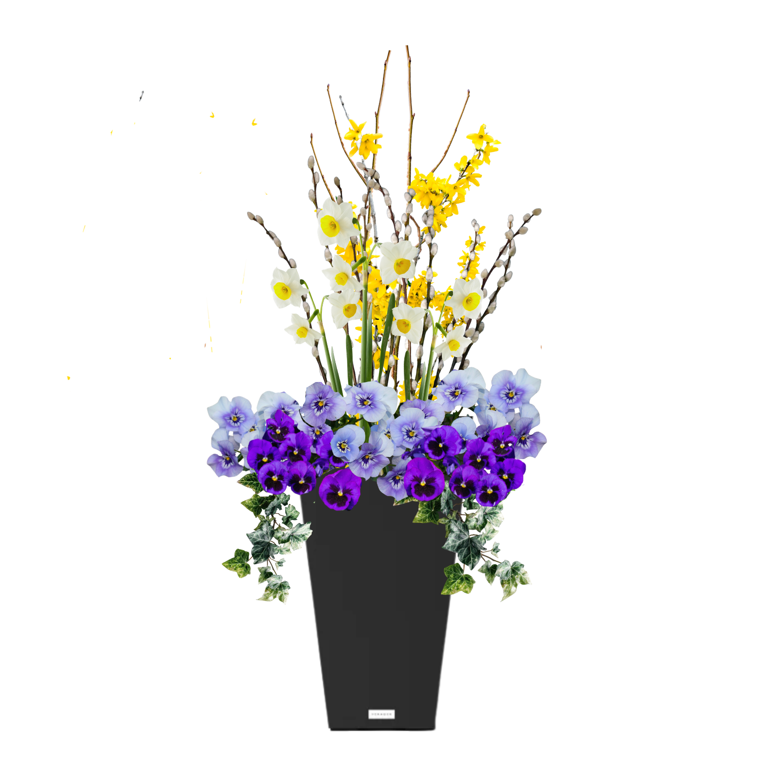 April Wink - BLACK POT (TALL SQUARE)