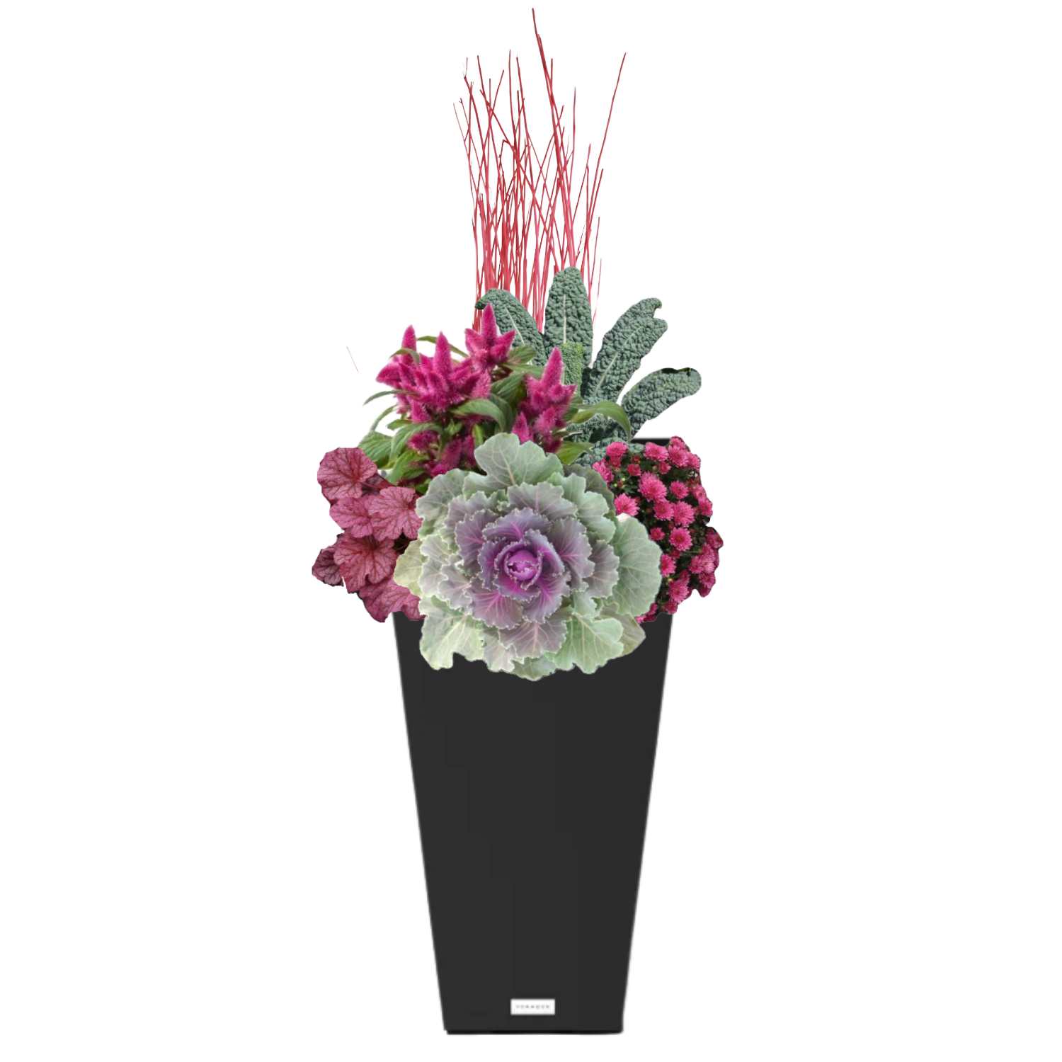 Rosehip Harvest - BLACK POT (TALL SQUARE)