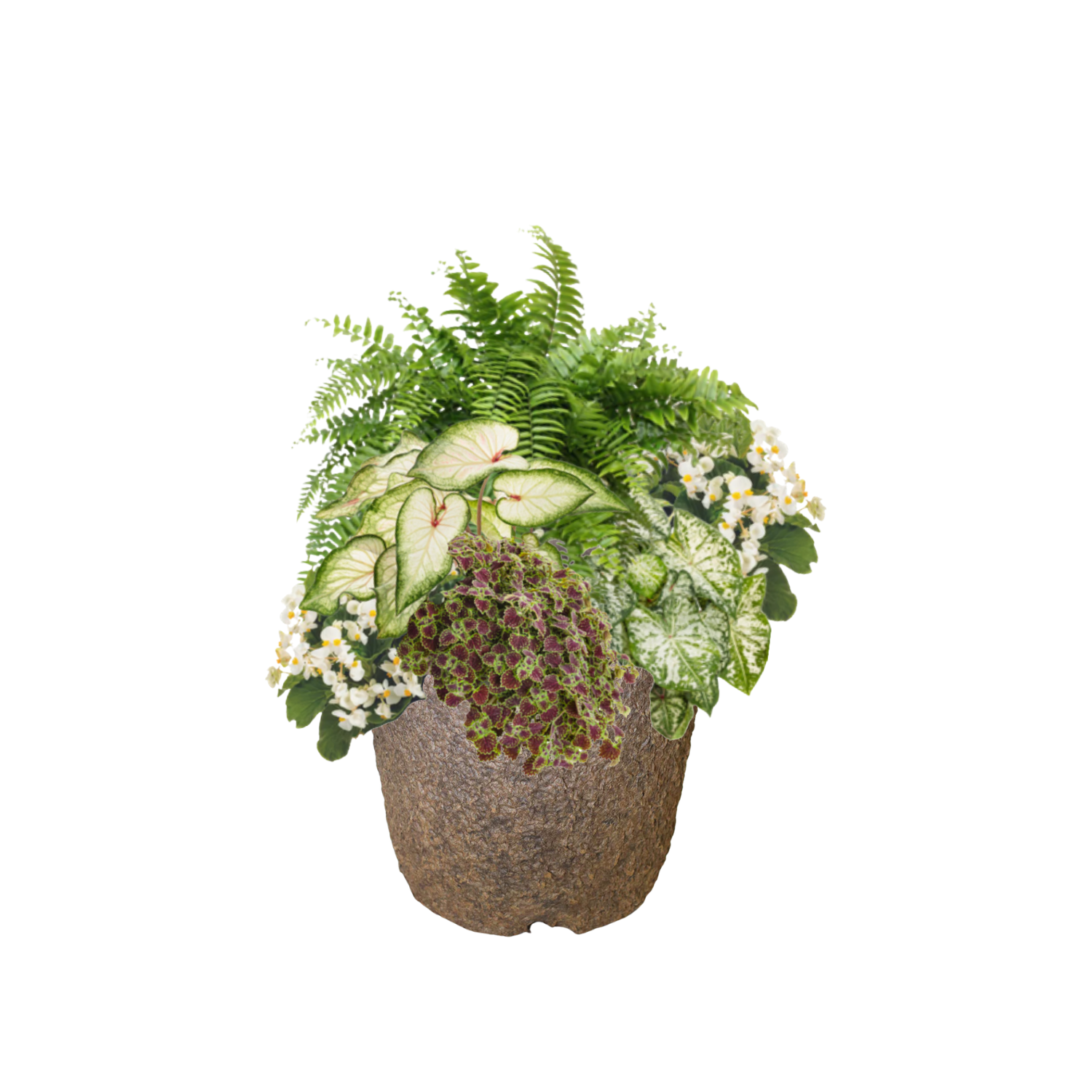 Garden Veranda.png
