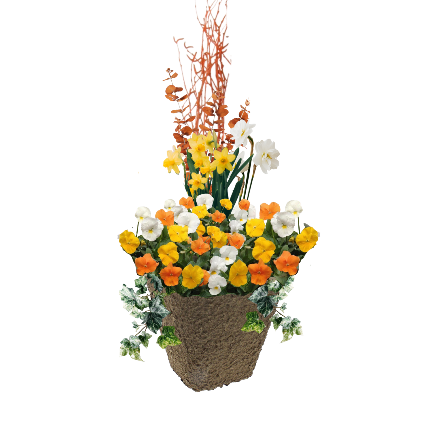 Copy of Square Black Pot Sunny Honey PP.png