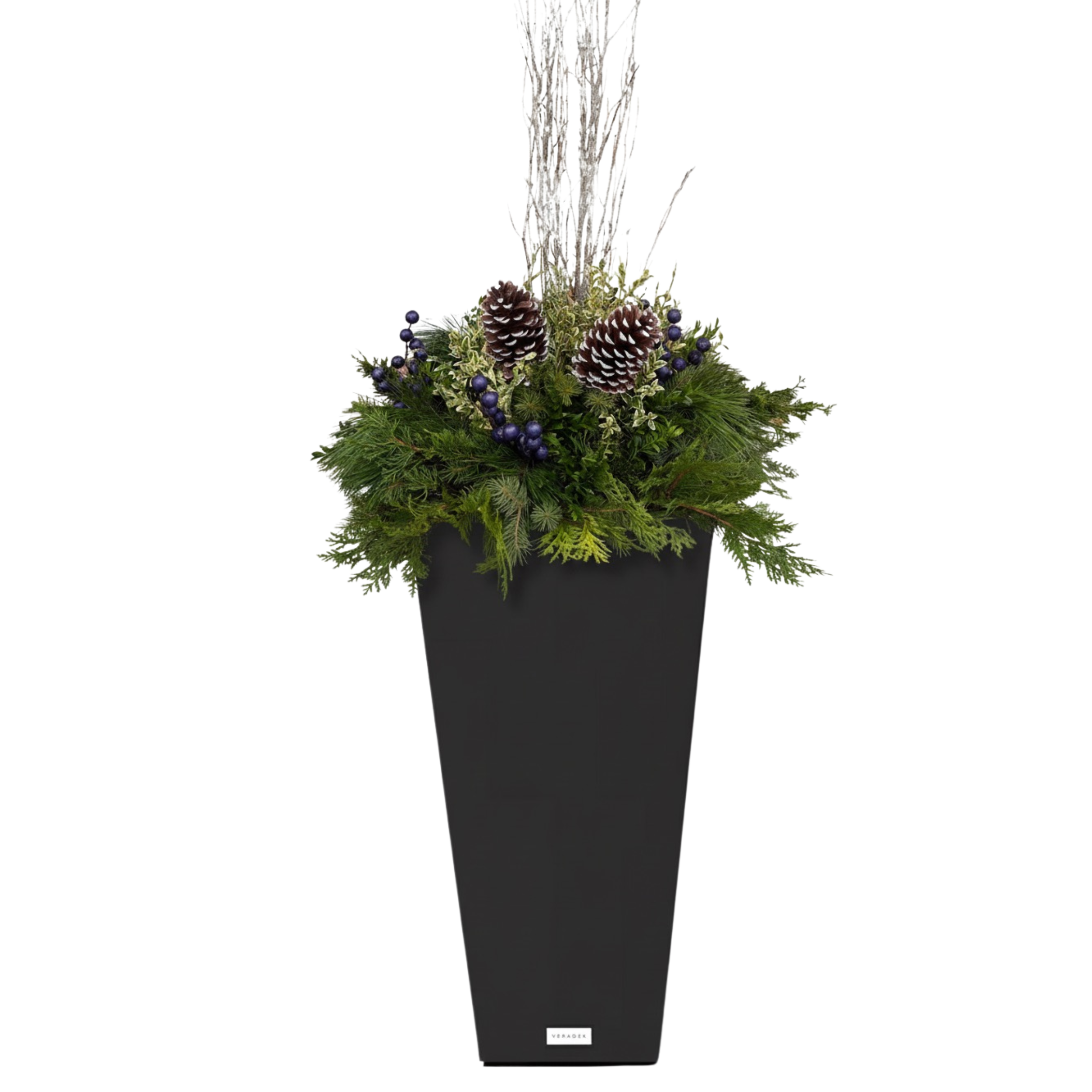 Untitled design 6.png