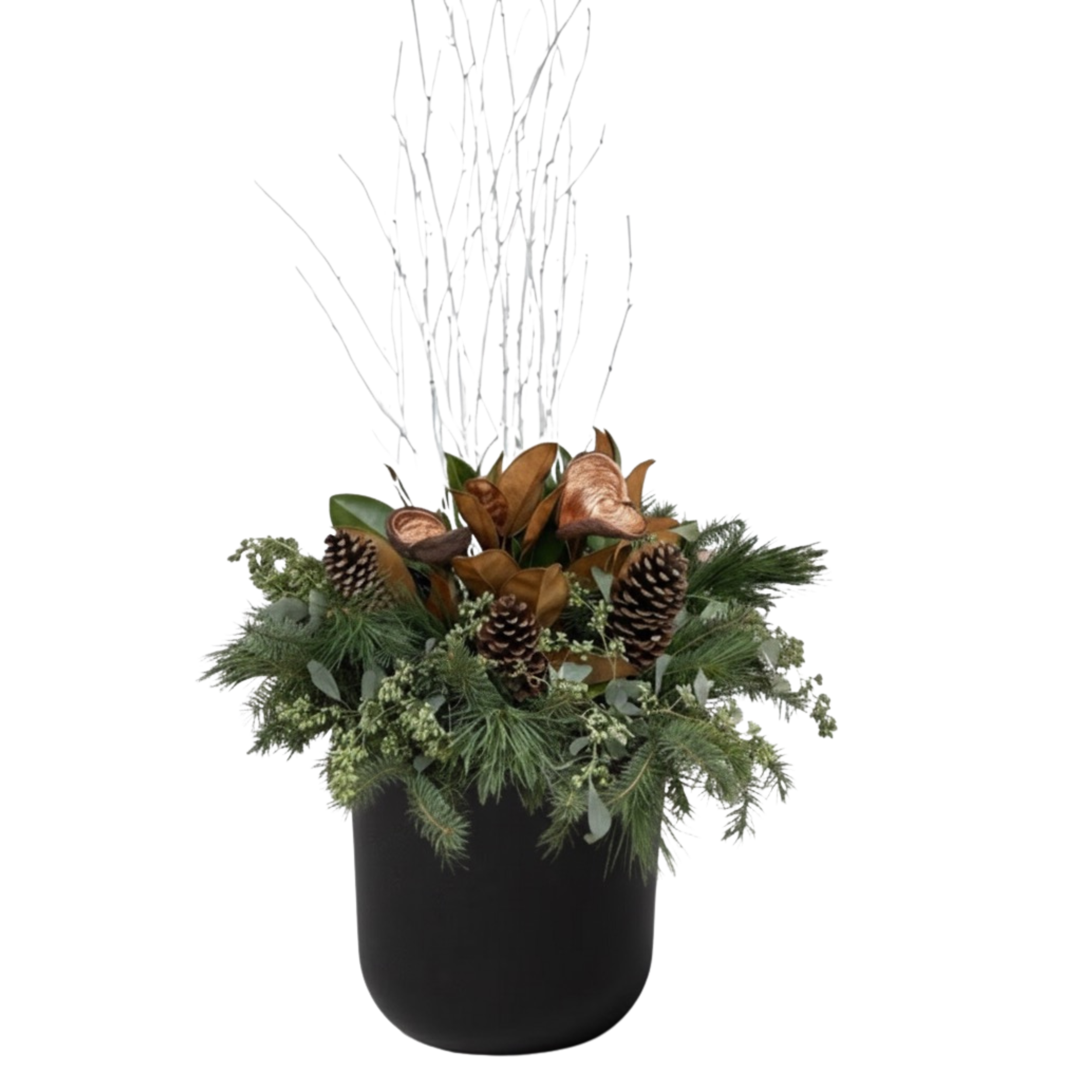 Untitled design 9.png