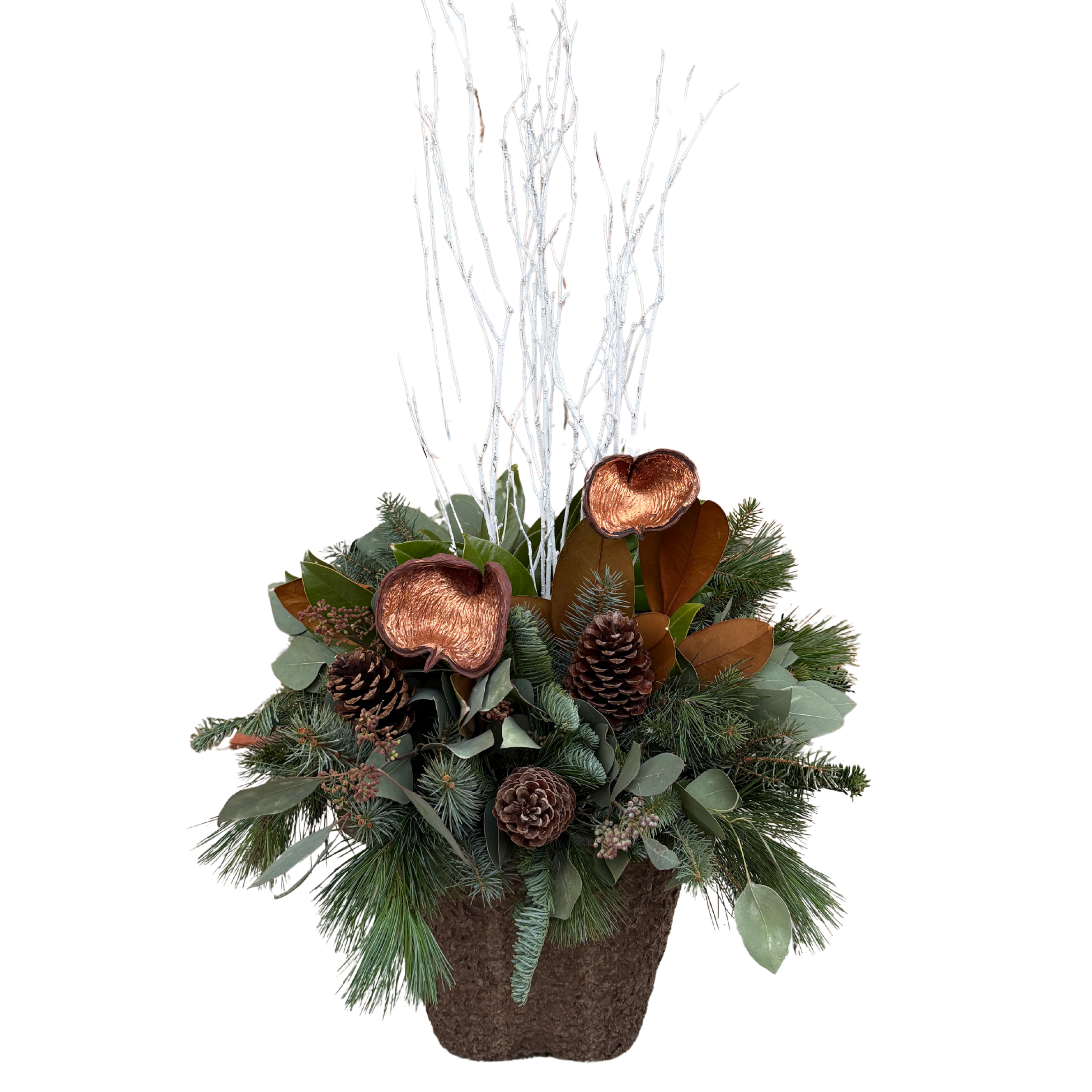 Untitled design 3.png