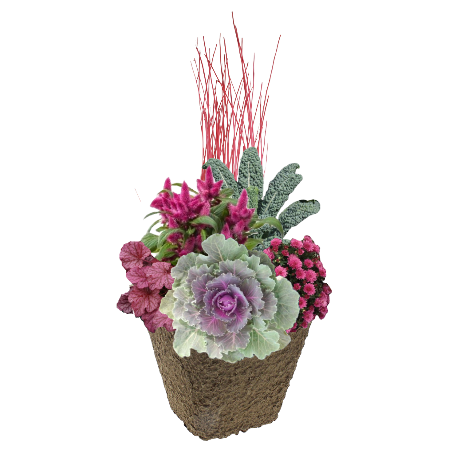 Rosehip Harvest  - SQUARE Pulp Pot