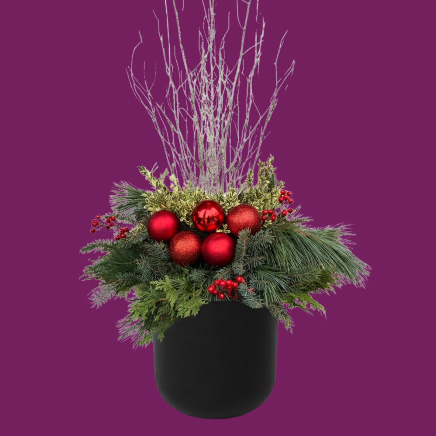 Merry & Bright - BLACK POT (ROUND)