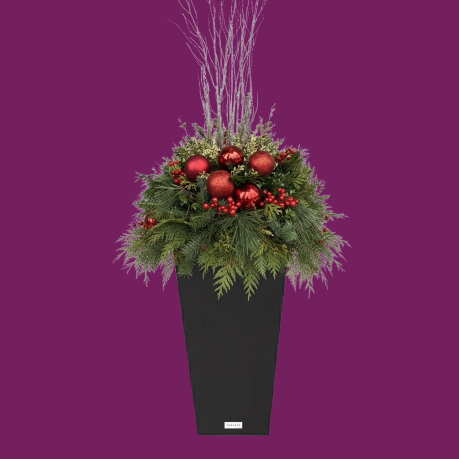 Merry & Bright - BLACK POT (TALL SQUARE)