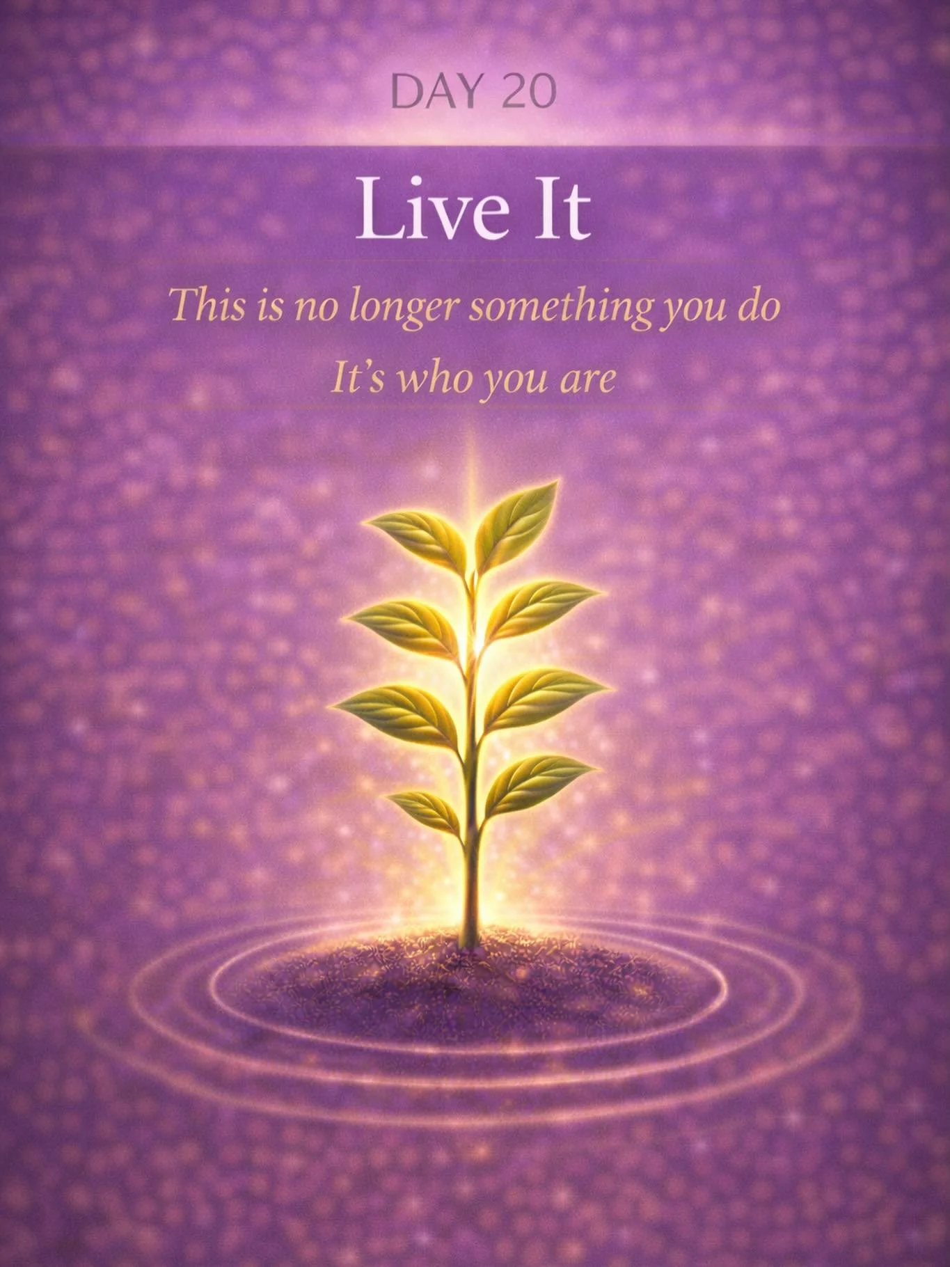 This isn&rsquo;t something you dip in and out of anymore.

It&rsquo;s how you live.

Not perfectly.
Not every moment.

But differently.

You don&rsquo;t:

👉 Ignore yourself like you used to
👉 Override your feelings
👉 Push past what doesn&rsquo;t f