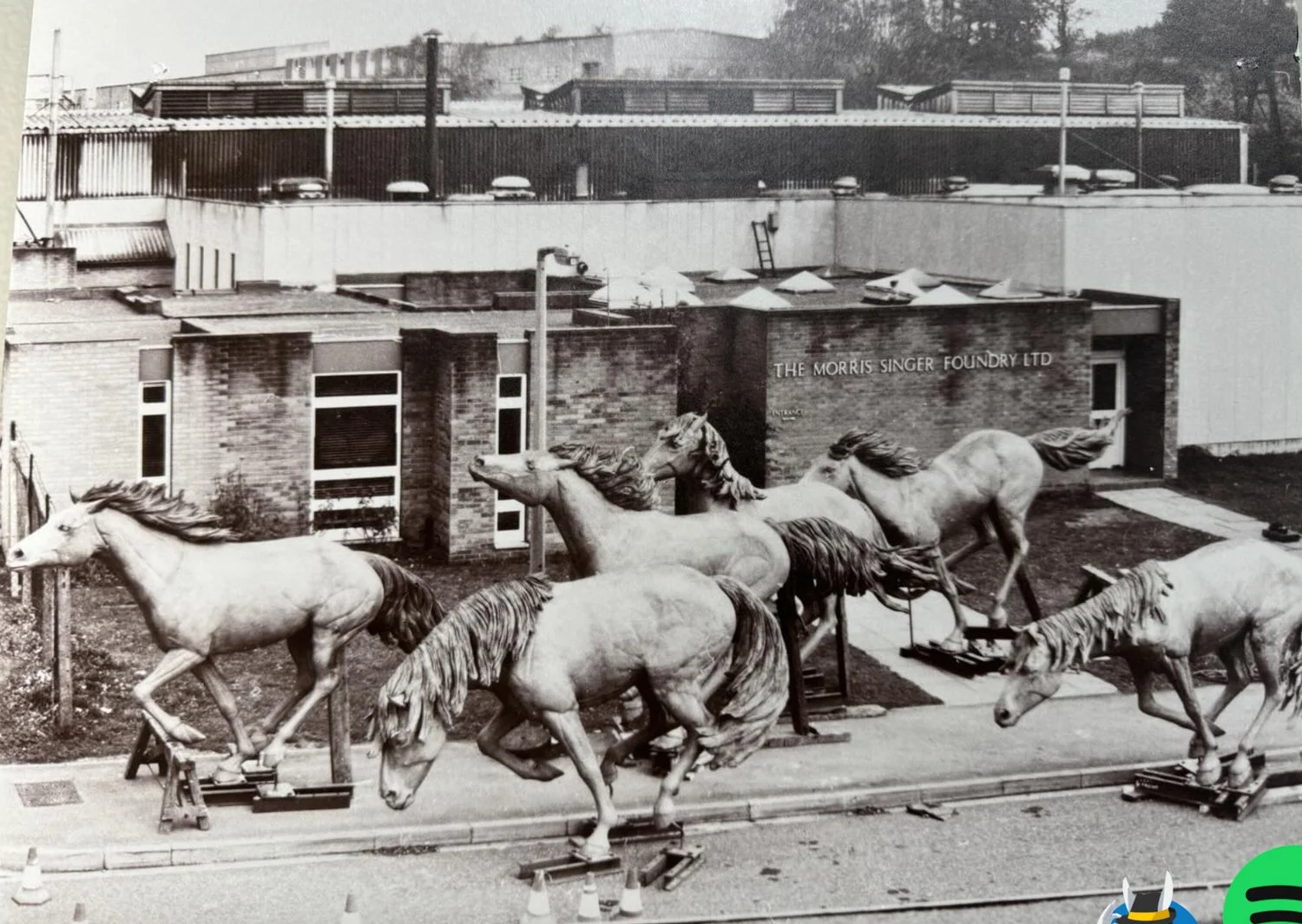 mustangs-28.jpg