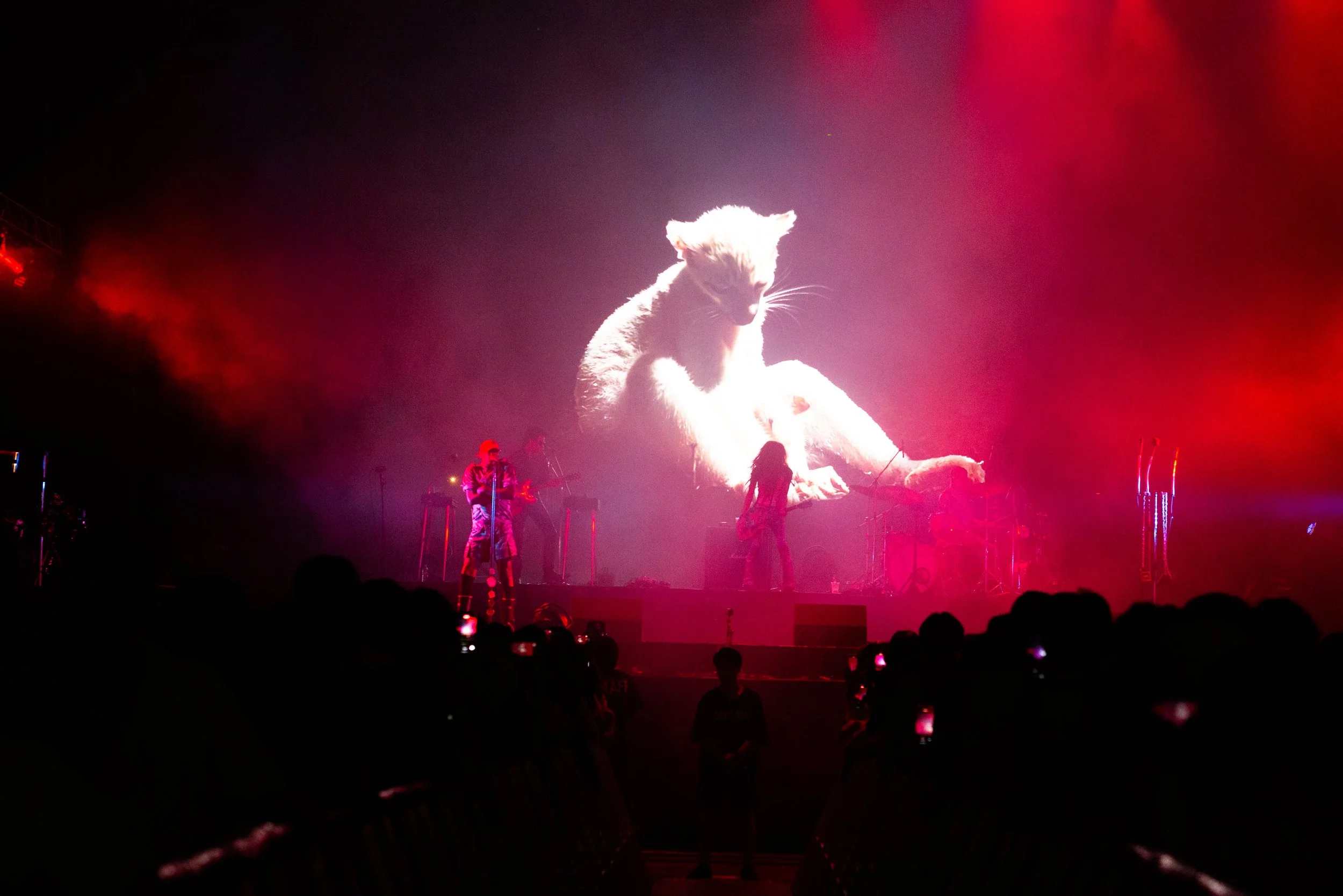 A live concert with a large screen showing a cat and band performing on stage under pink and purple lights.