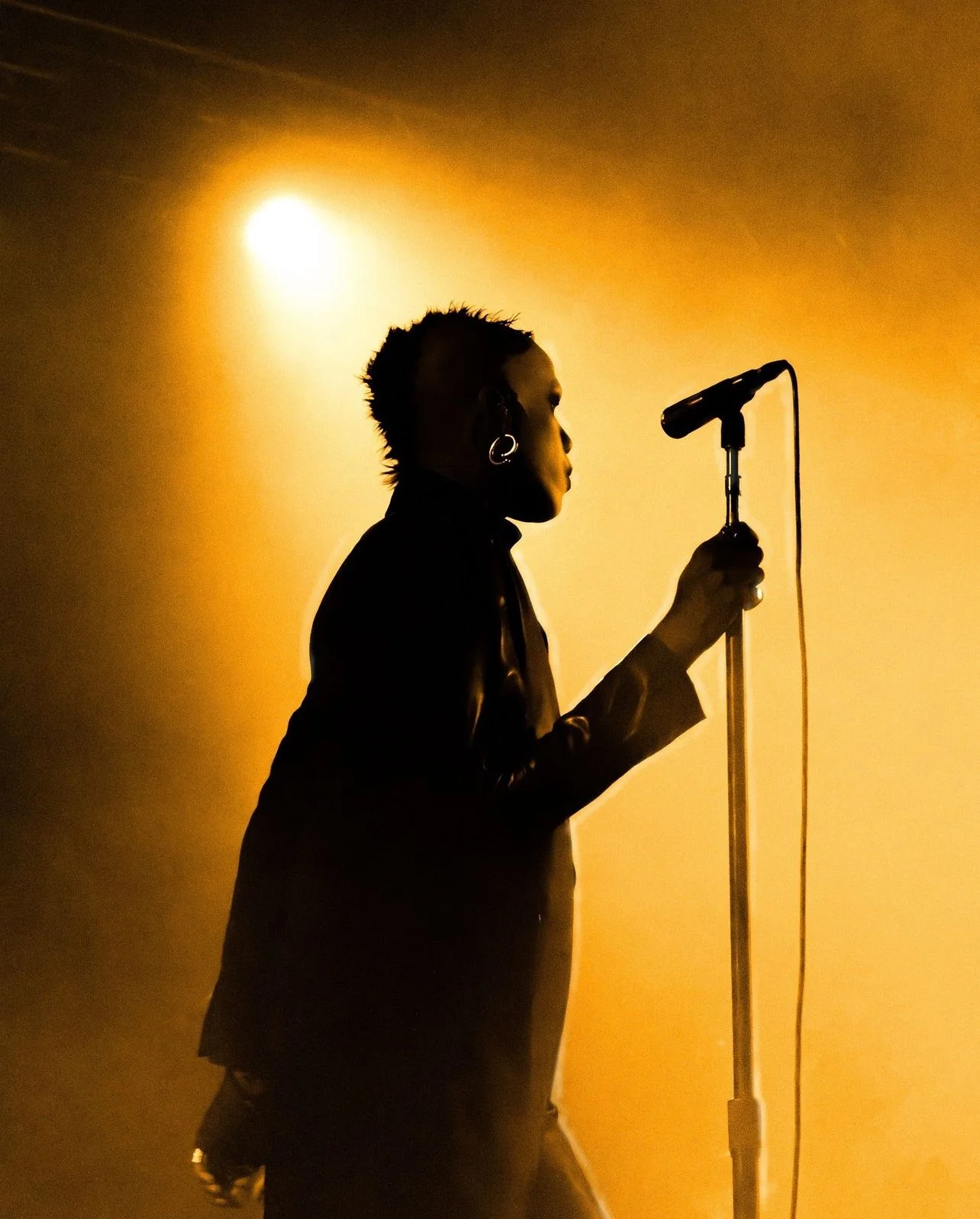 Silhouette of a person with mohawk hairstyle and earrings, holding a microphone on a stand, illuminated by warm stage lighting.