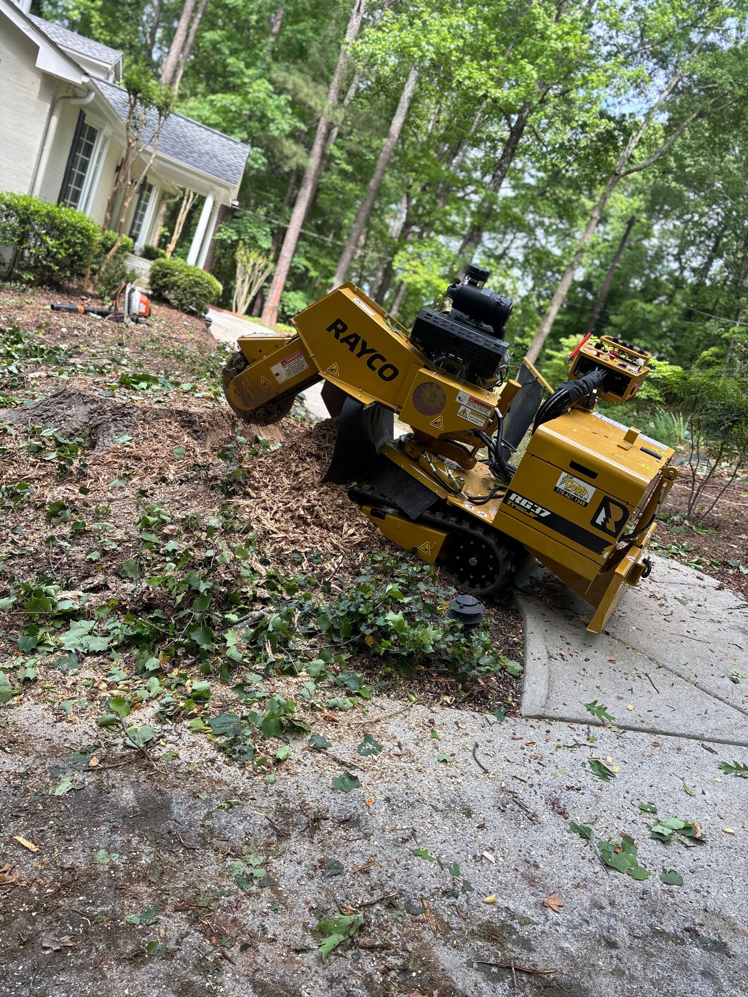 Stump Grinder.jpeg