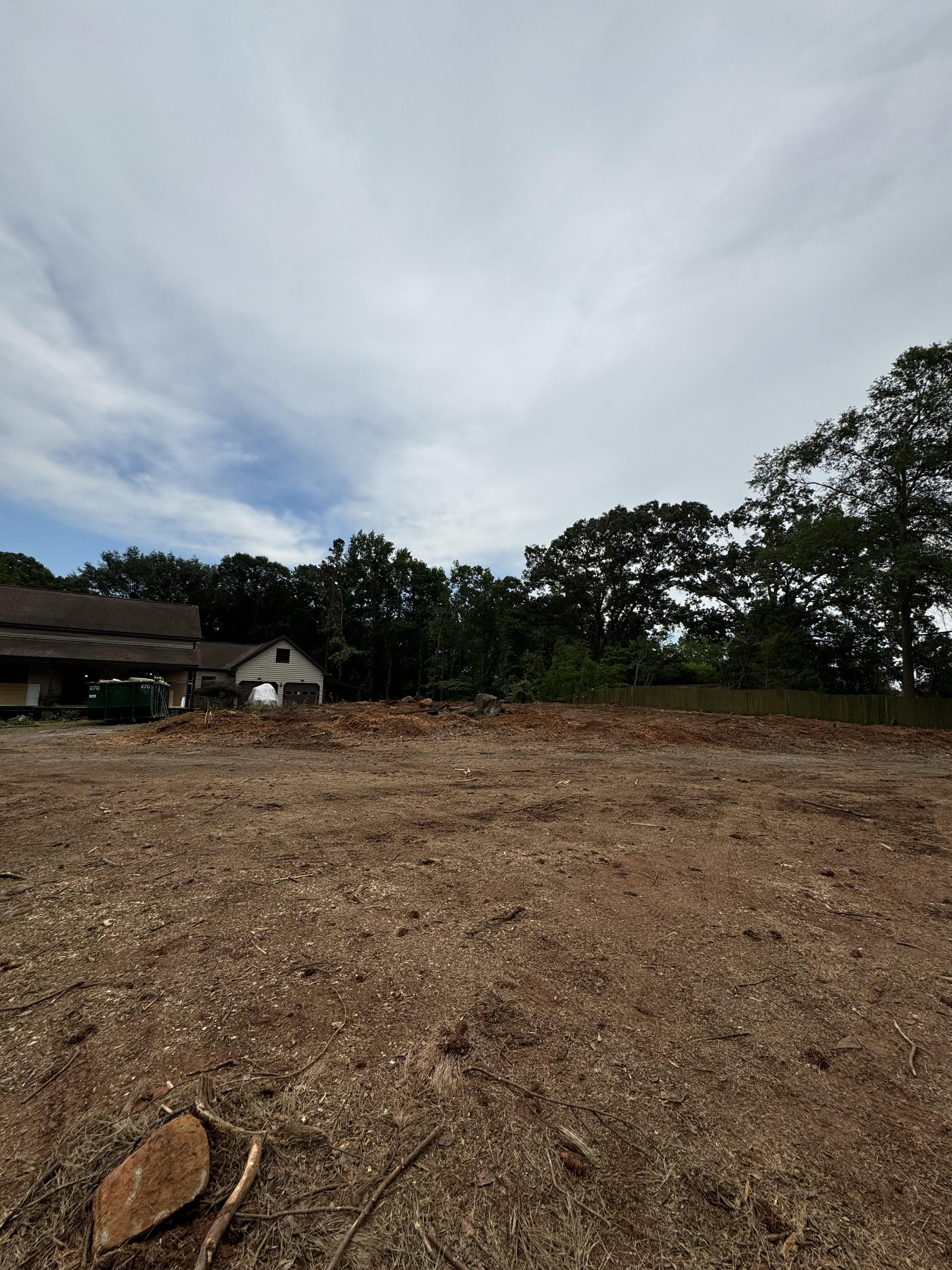 Tree Removal After.jpg