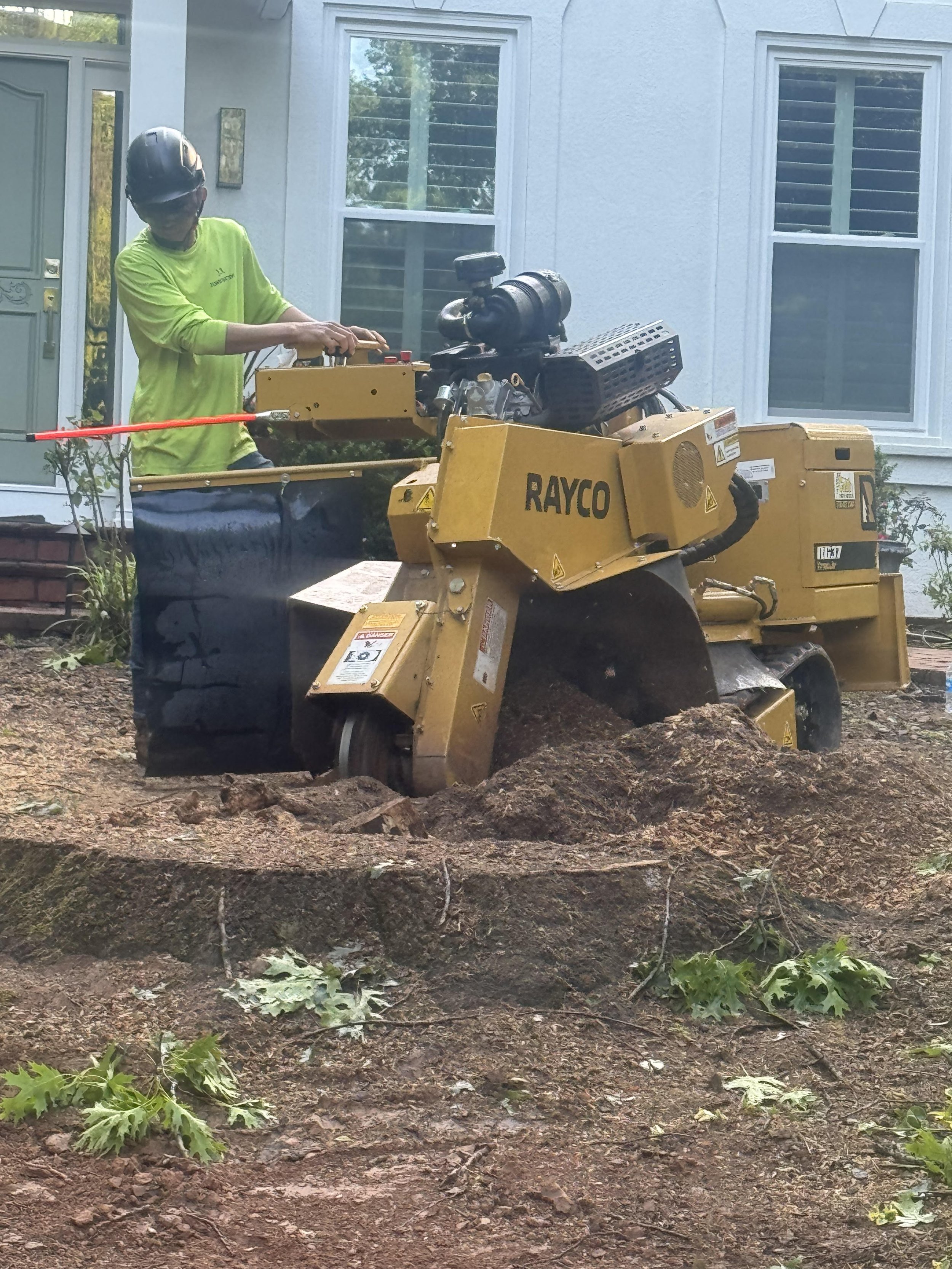stump grinder.jpg