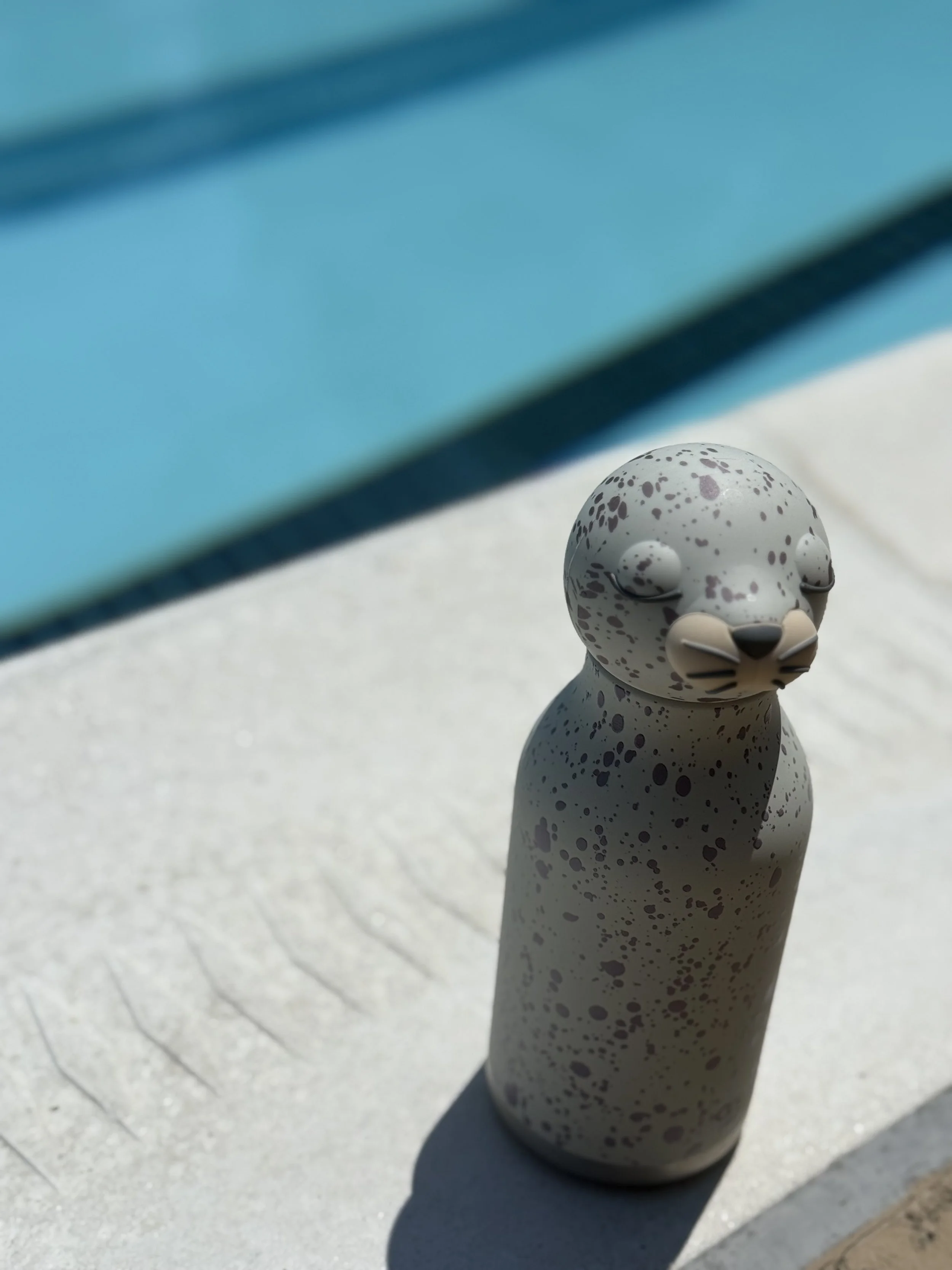 Sealbypool.jpg