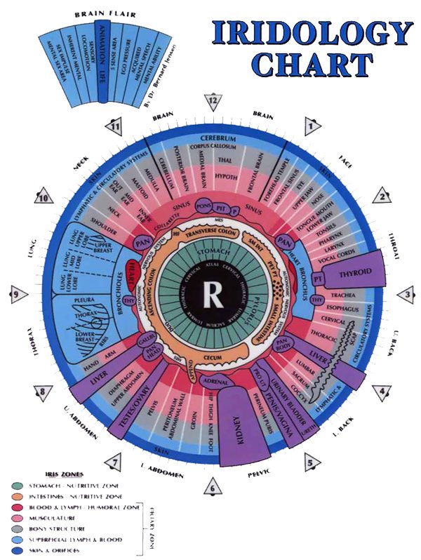 iridology-chart-right-eye.jpg