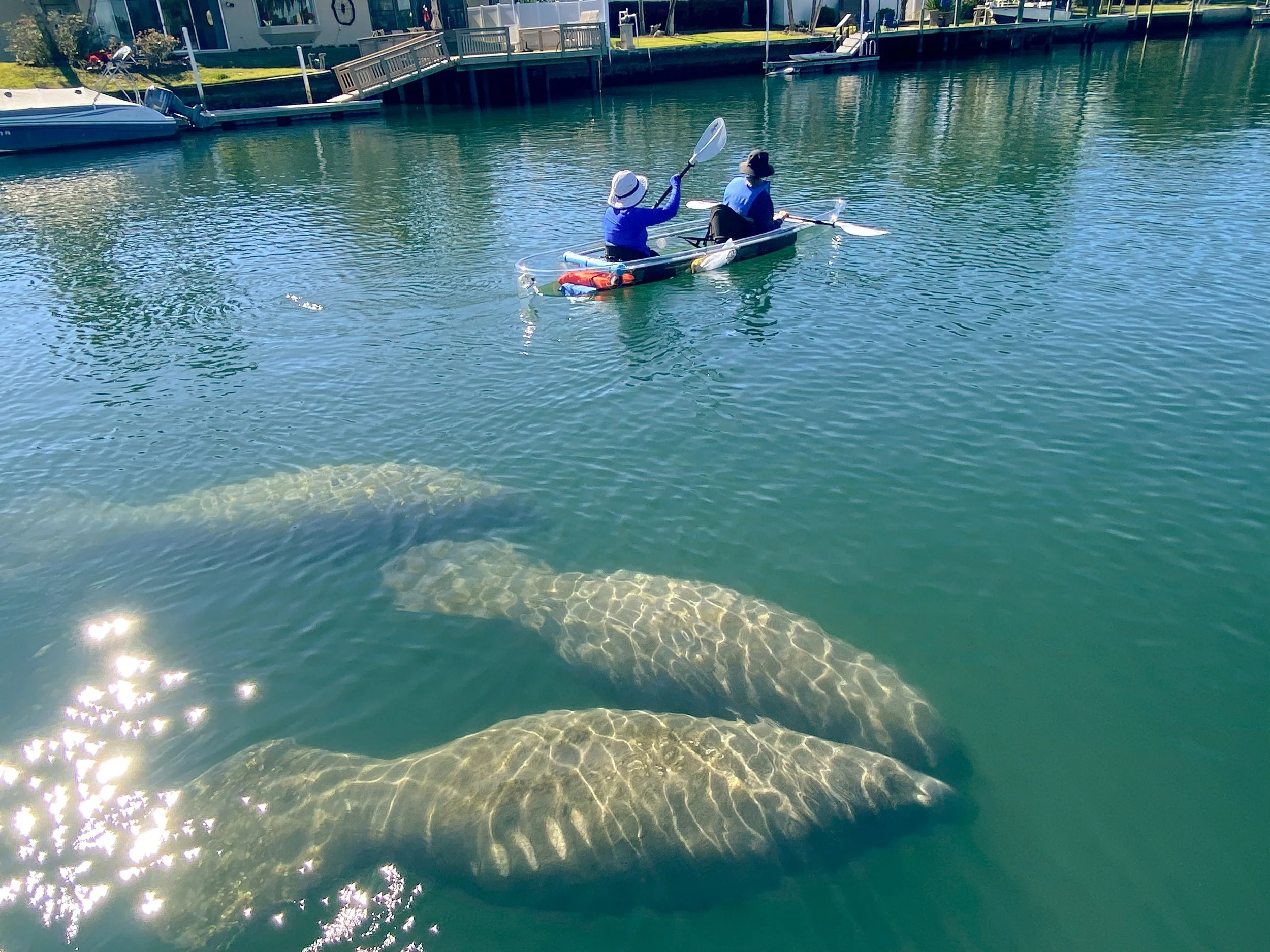 Two people in a kayak paddling on a calm body of water near a dock and residential buildings.