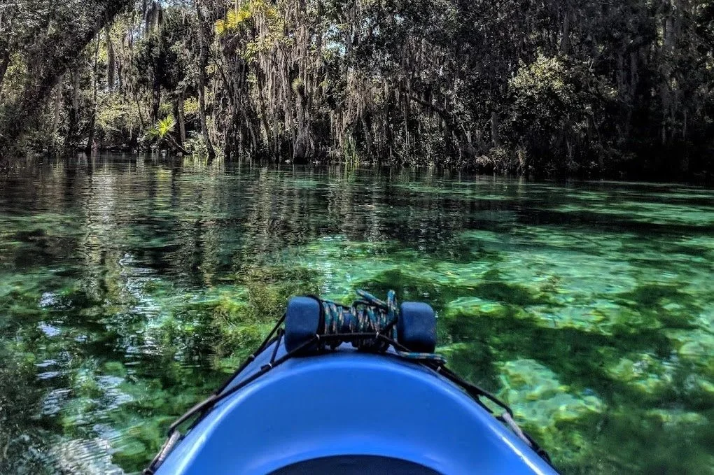 View from a kayak on a clear, greenish river with a wooded, moss-covered shoreline in the background.