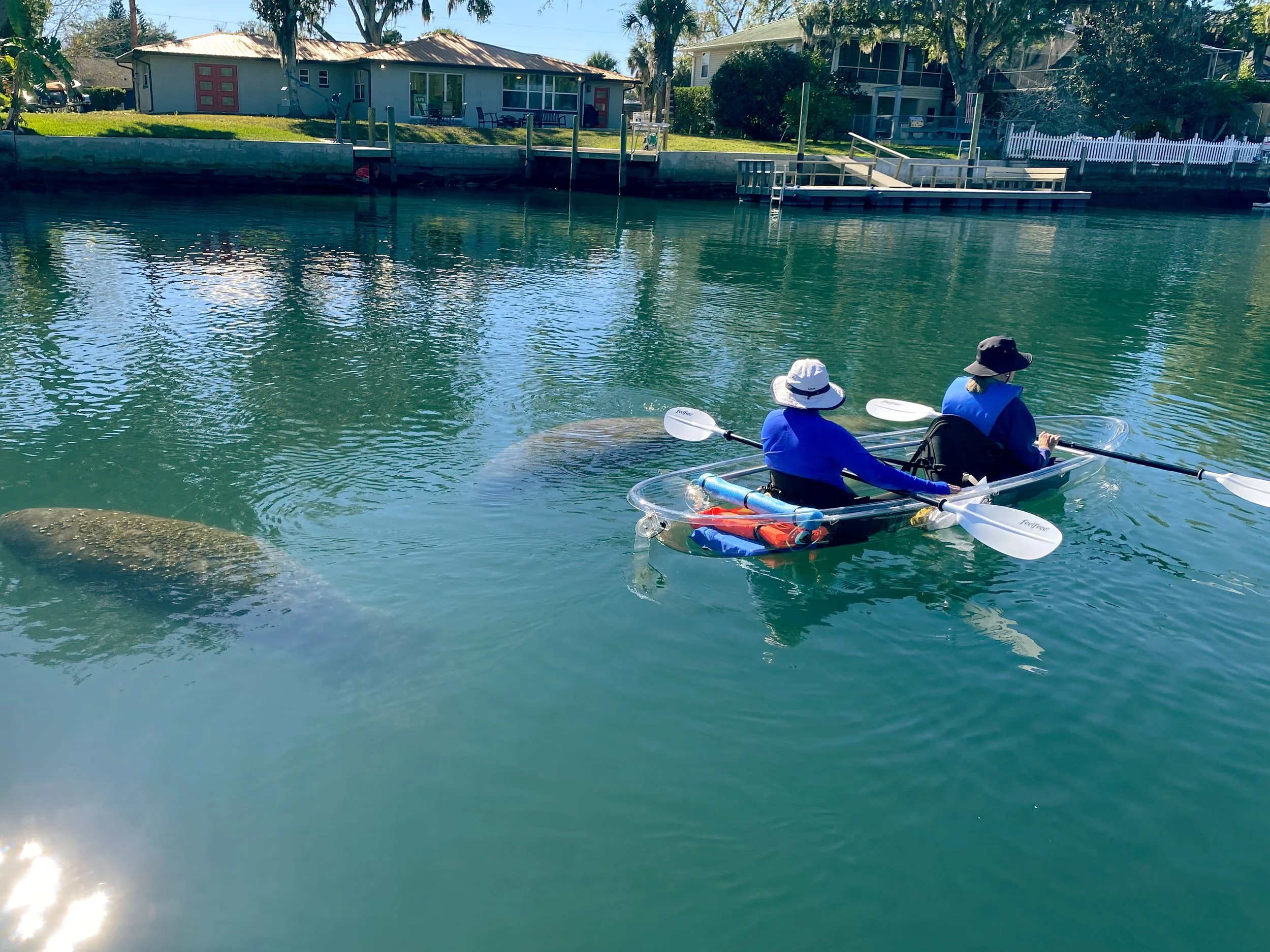 Two people wearing hats and life jackets paddling a clear kayak in a lake near houses with docks and trees.