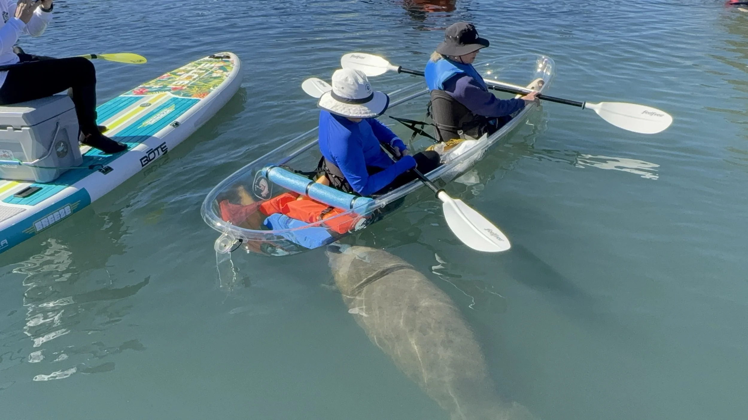 Two people in a transparent kayak on water, with a paddle, wearing hats and jackets, near a paddleboard with colorful design, and a person on a boat in the background.