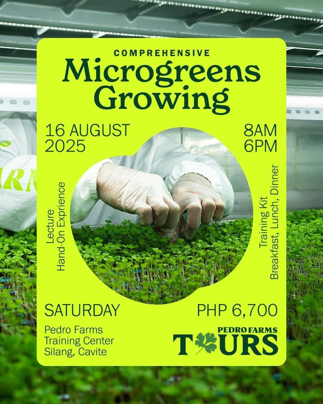 Comprehensive Training on Growing Microgreens