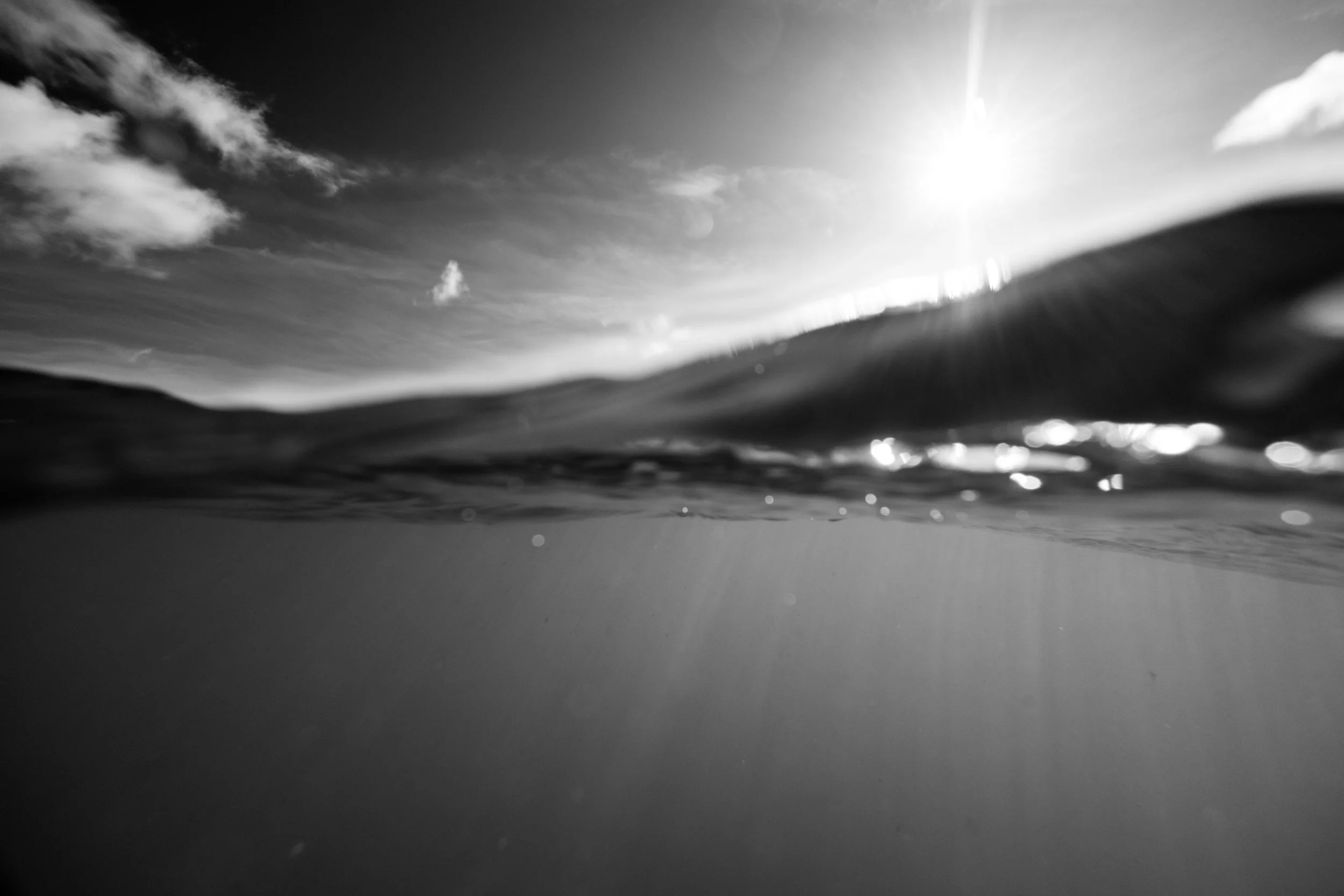 MM_230730_Kite Dina-40.jpg