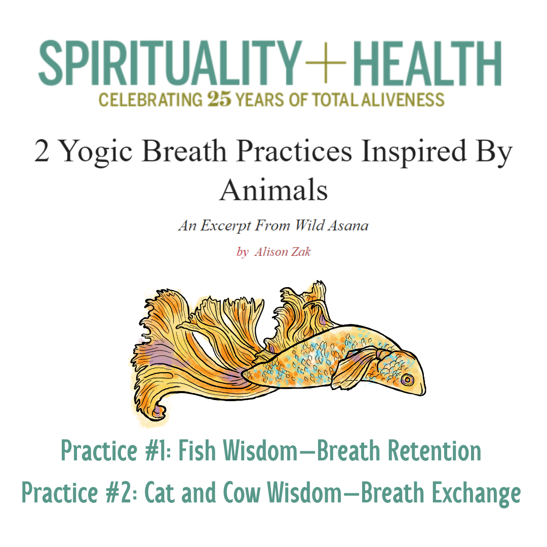 breath practices.png