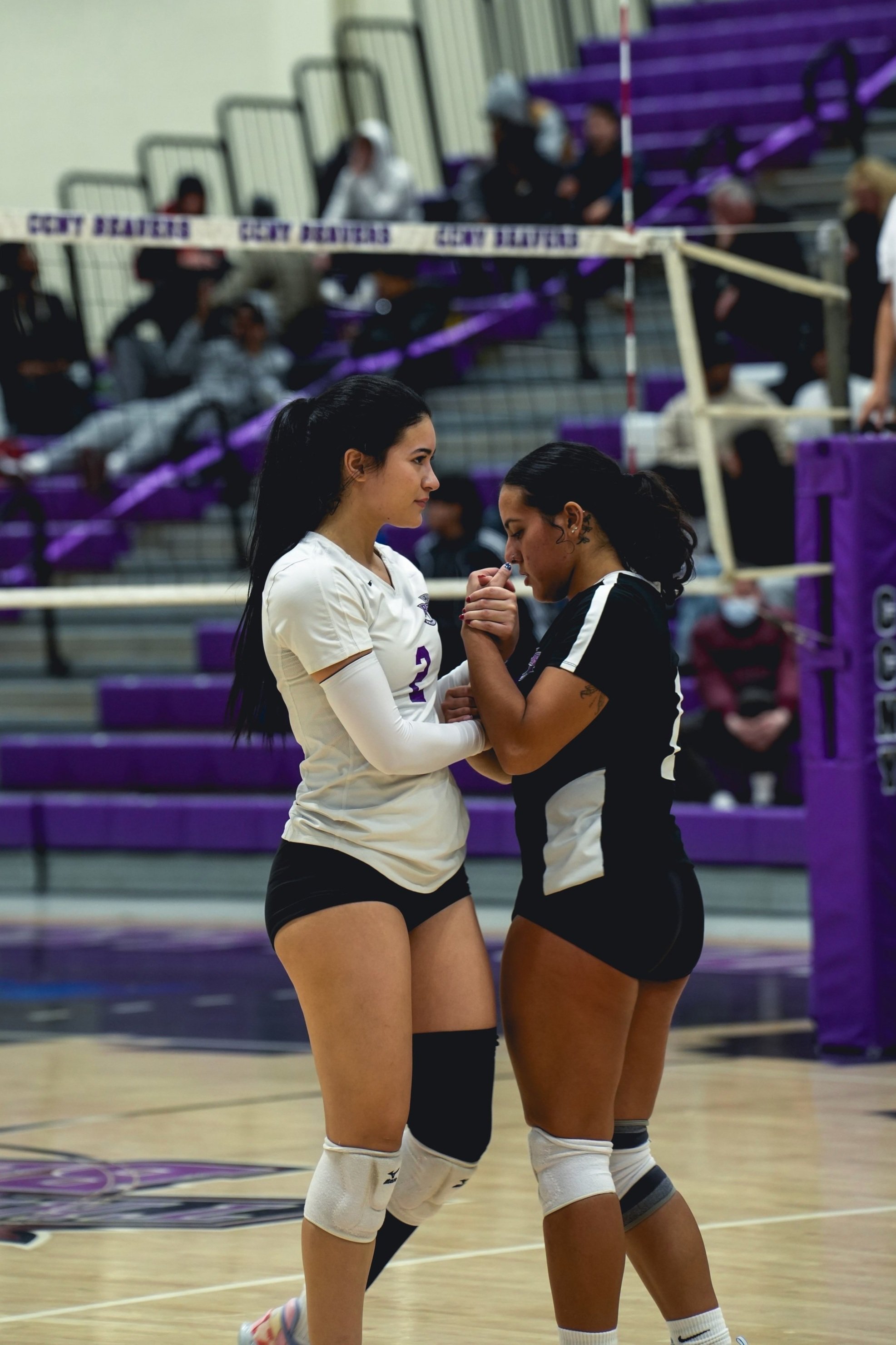 Womens Volleyball 2024