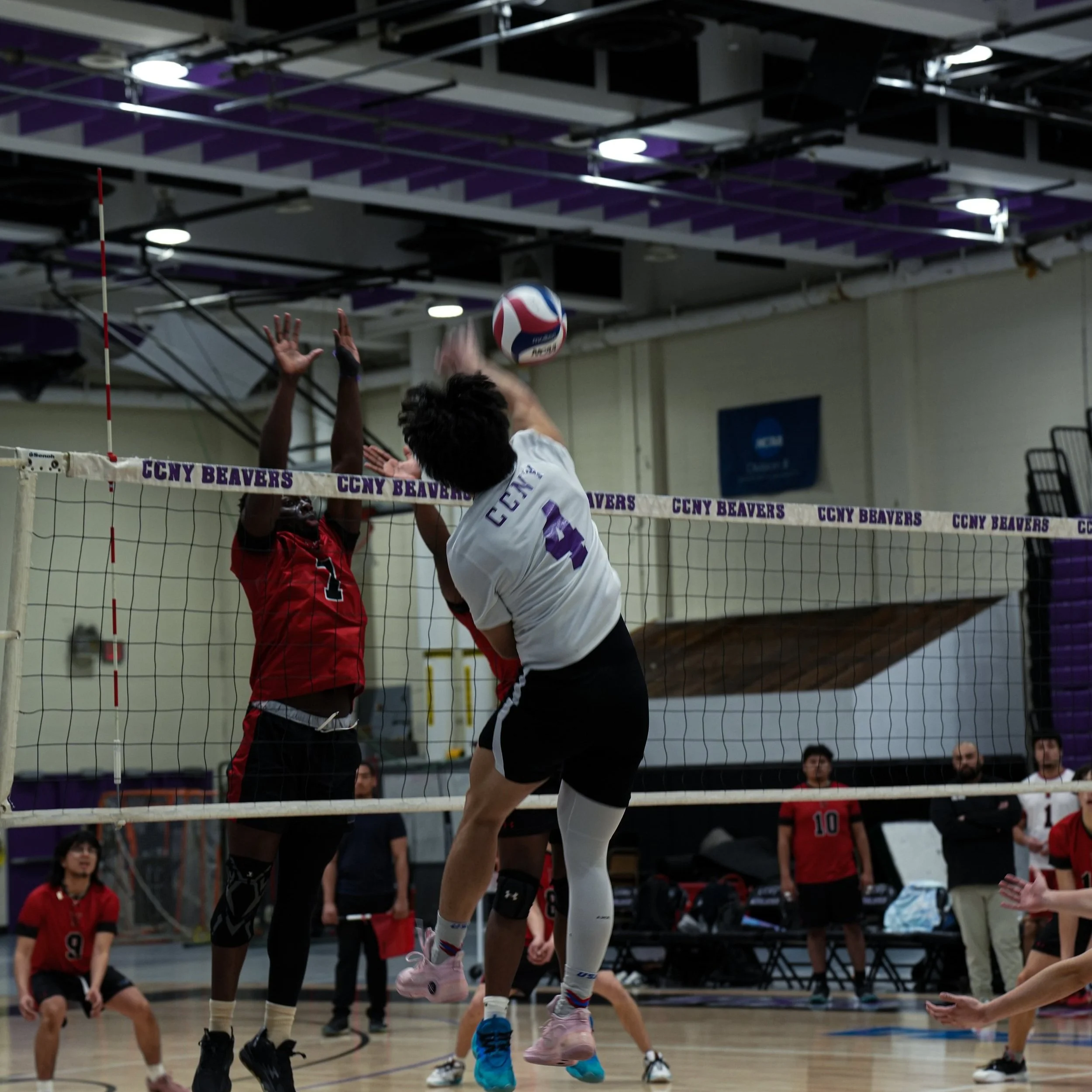 Mens Volleyball 2025