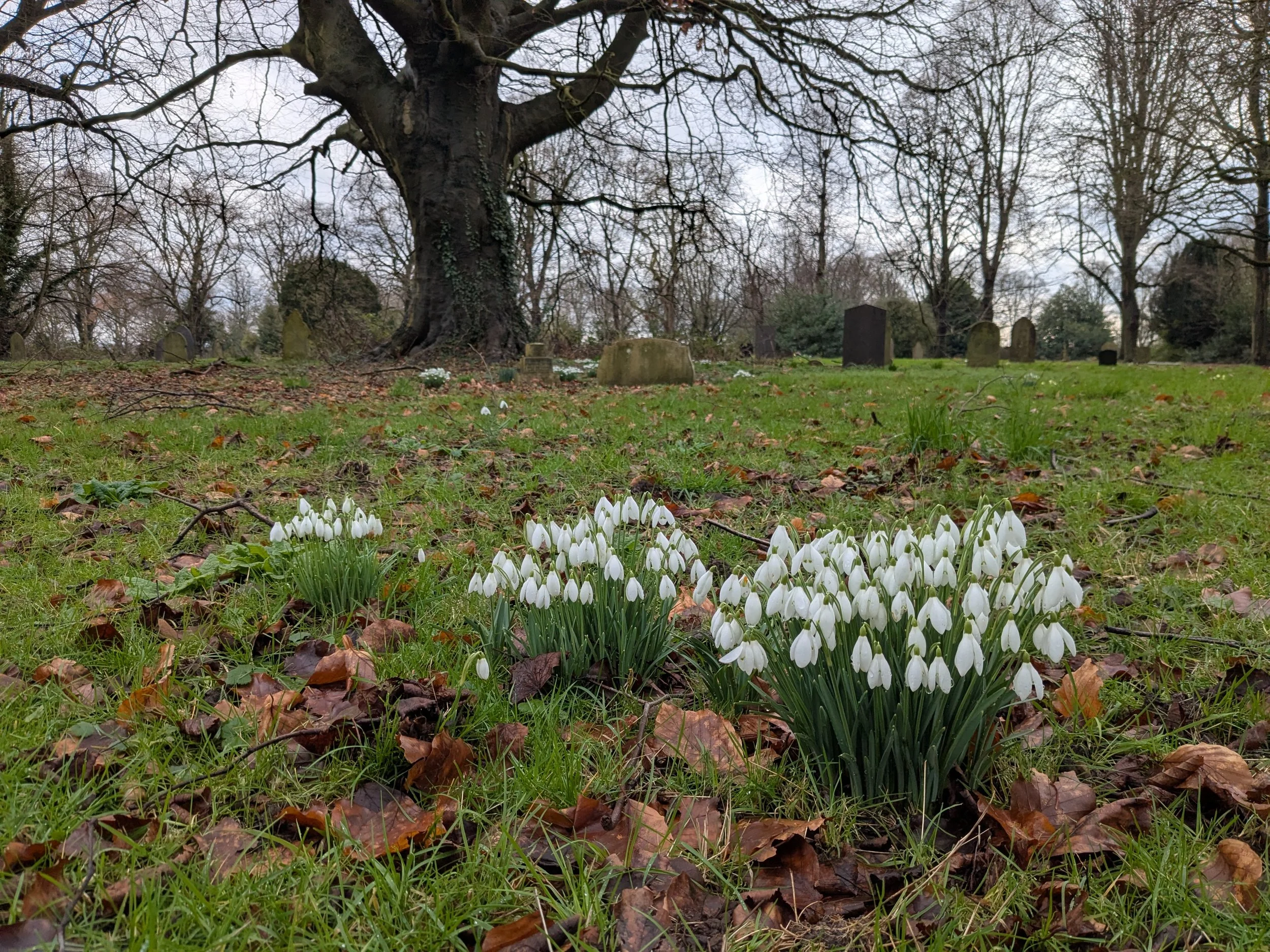 Children's Plaques unveiling