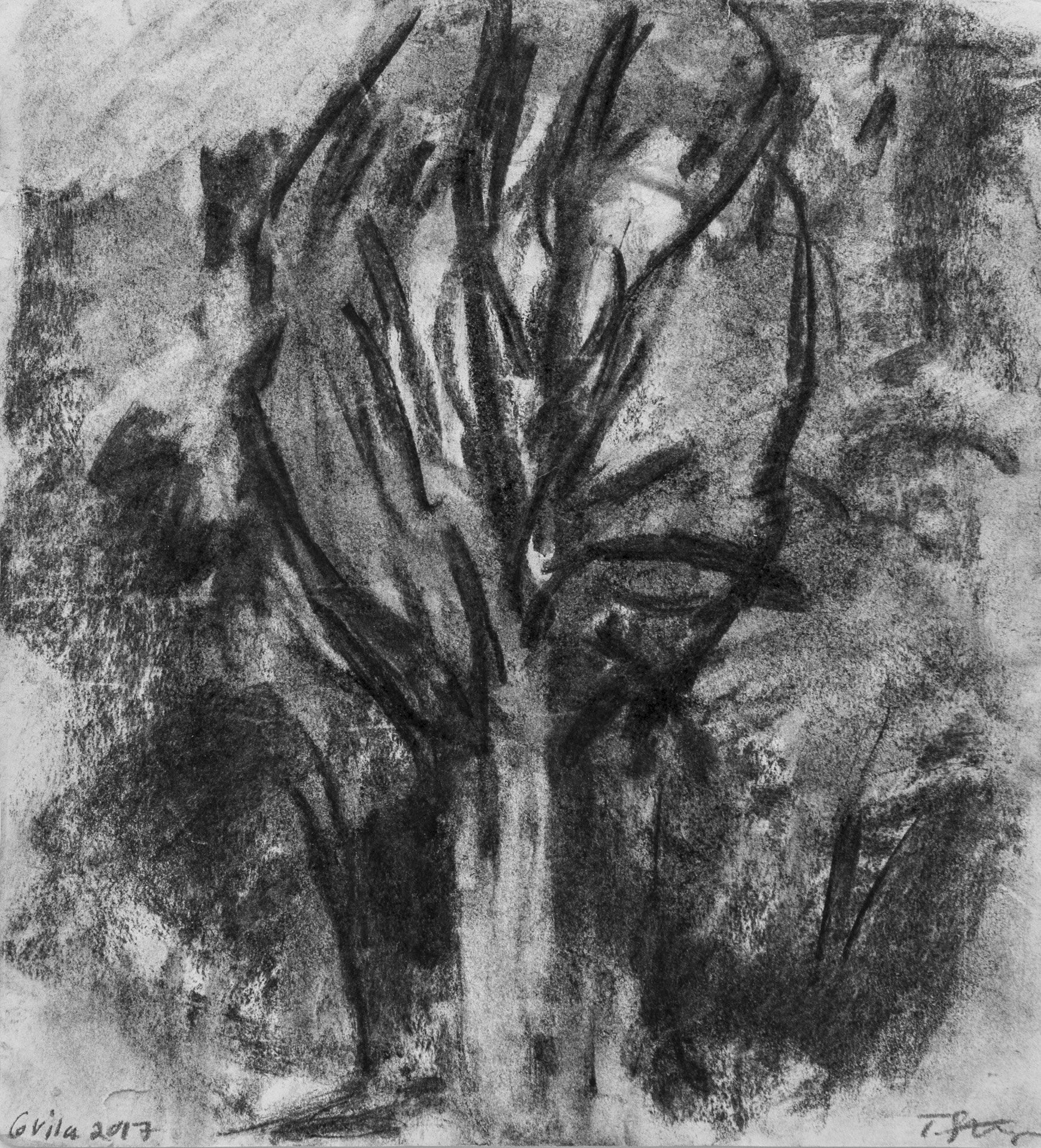 Works on paper : Gvila -Tree