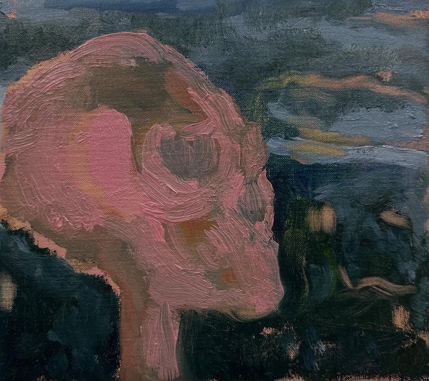 A new chapter in my Skull series.🎨
Looking  at it in my studio, shaped by a love of life, pink &amp; dark winter skies, silence, memory, and the time we&rsquo;re in

#oilpainting #perception #oiloncanvas #comtemporaryart