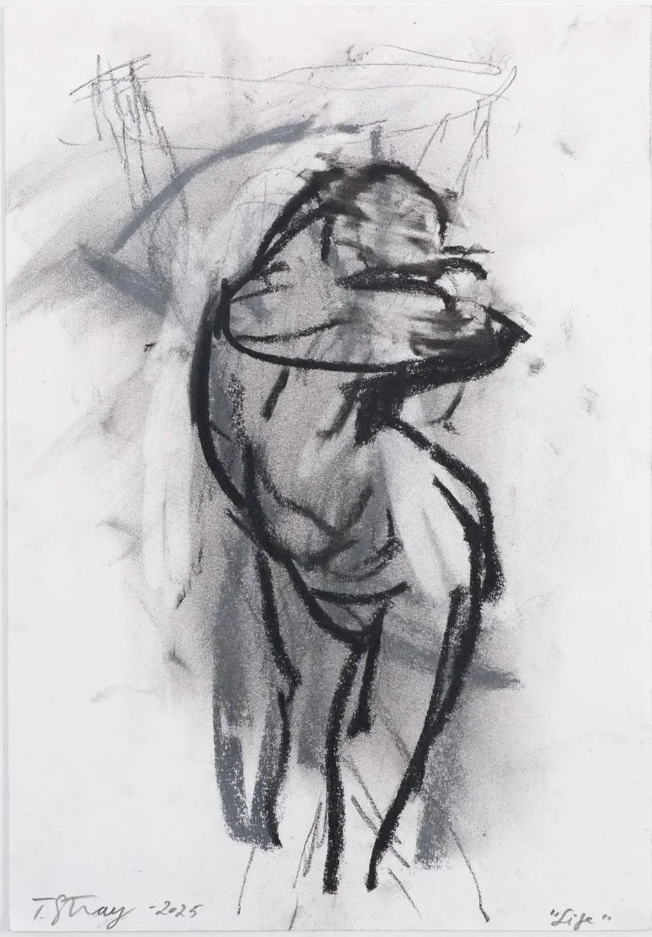 Works on Paper: Life