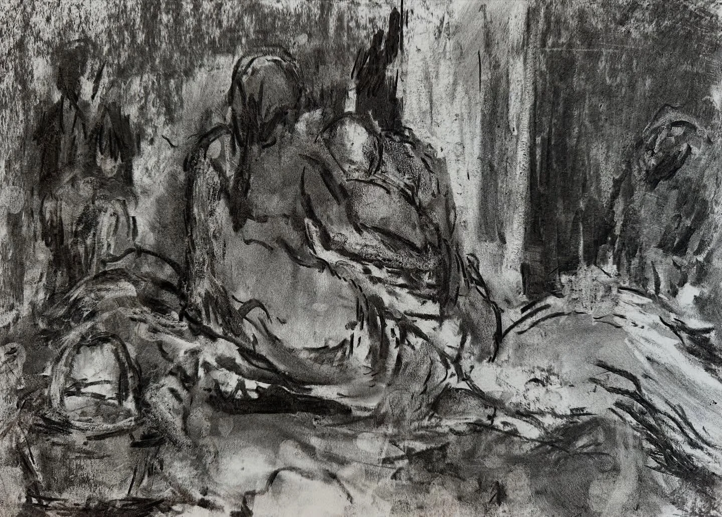 Drawing is the most  back to the core always :the whole world is in there &mdash; moments in time . Working from &amp; looking at the figure in space &amp; anything can happen.
Extending nature.

#charcoldrawing #figuredrawing #perception #vision